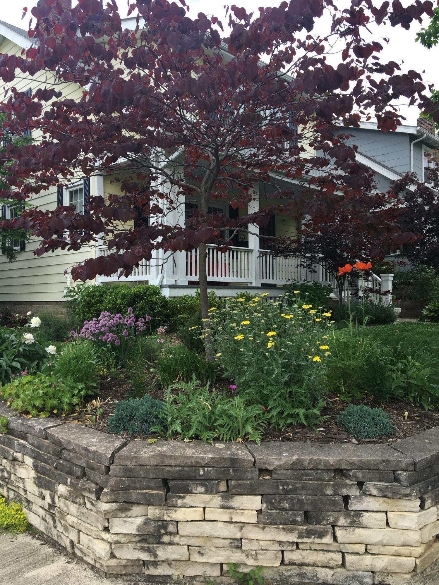 278 Crestview Road Columbus, OH 43202 - Photo 39 of 50 Summer view of the front garden bed