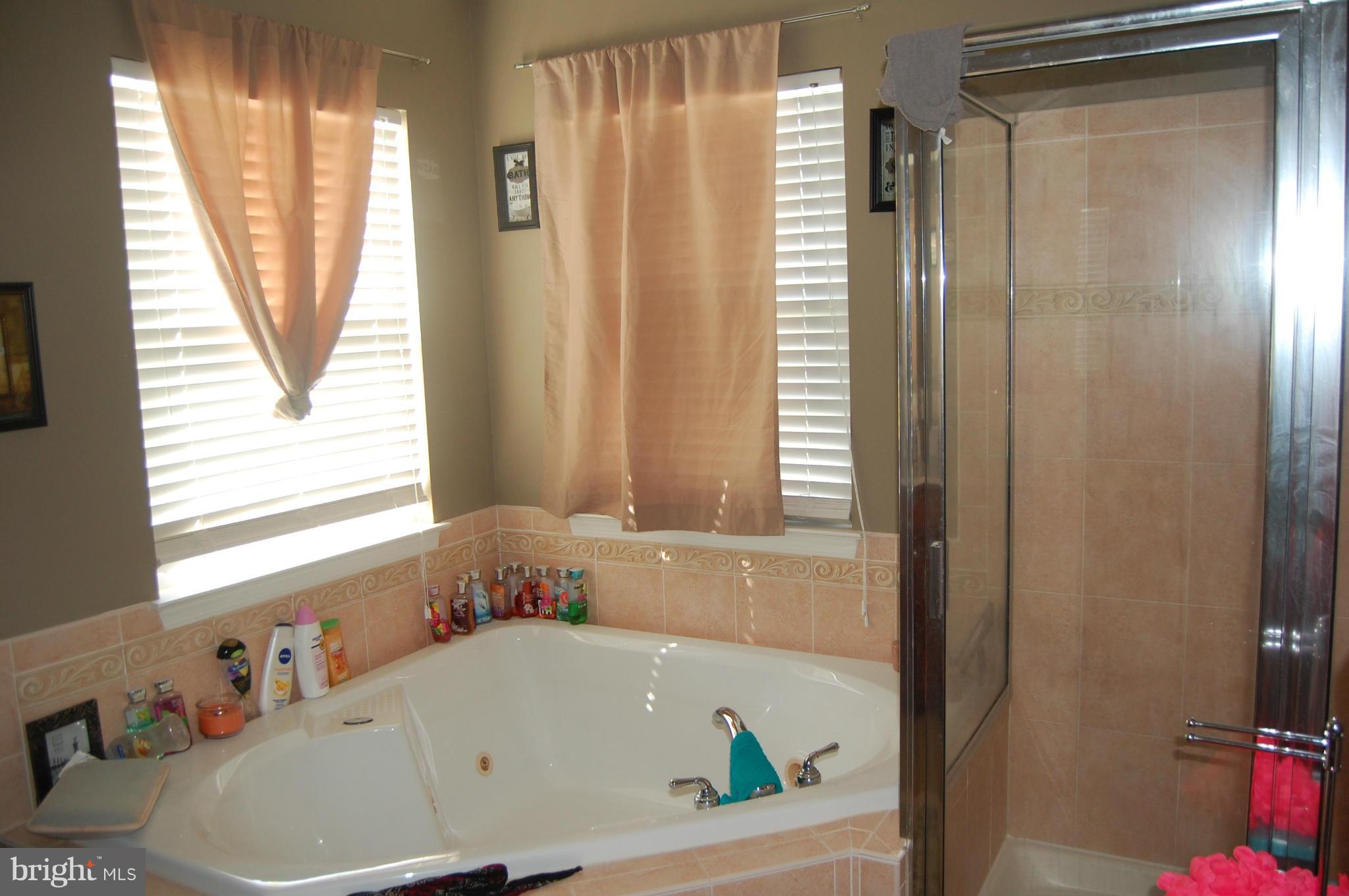 9806 Davison Road Middle River, MD 21220 - Photo 10 of 19 Bath (Master)