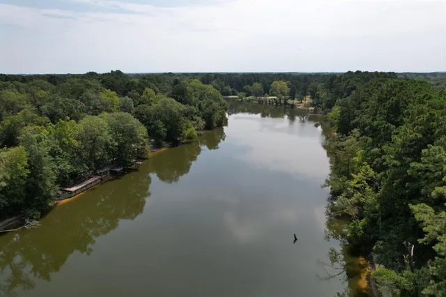 a view of a lake in middle of forest