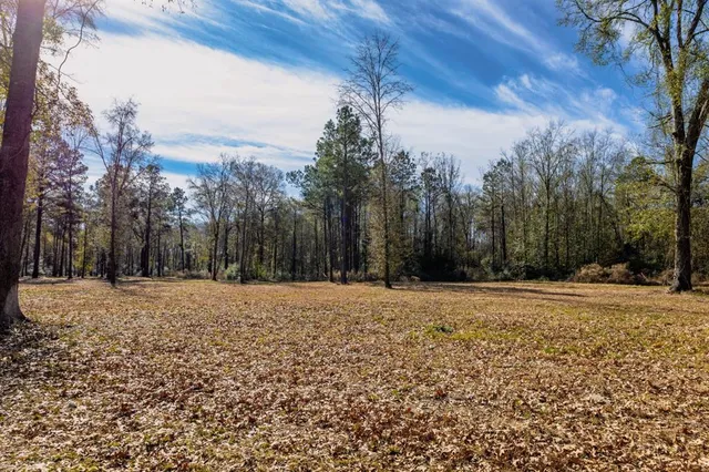 a backyard of a house with trees