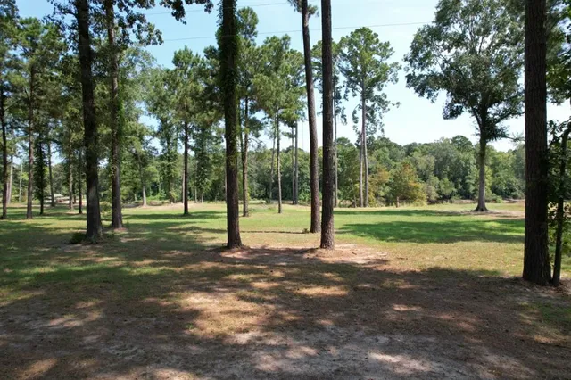 a view of a park with tree s