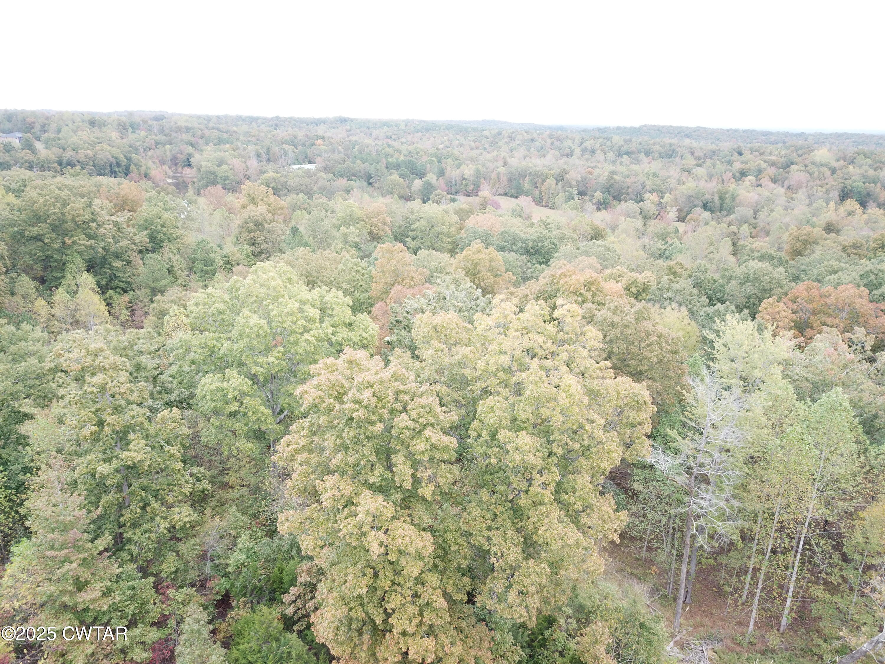 Lot 31 Peregrine Place Cedar Grove, TN 38321 - Photo 3 of 3 an aerial view of residential houses with outdoor space