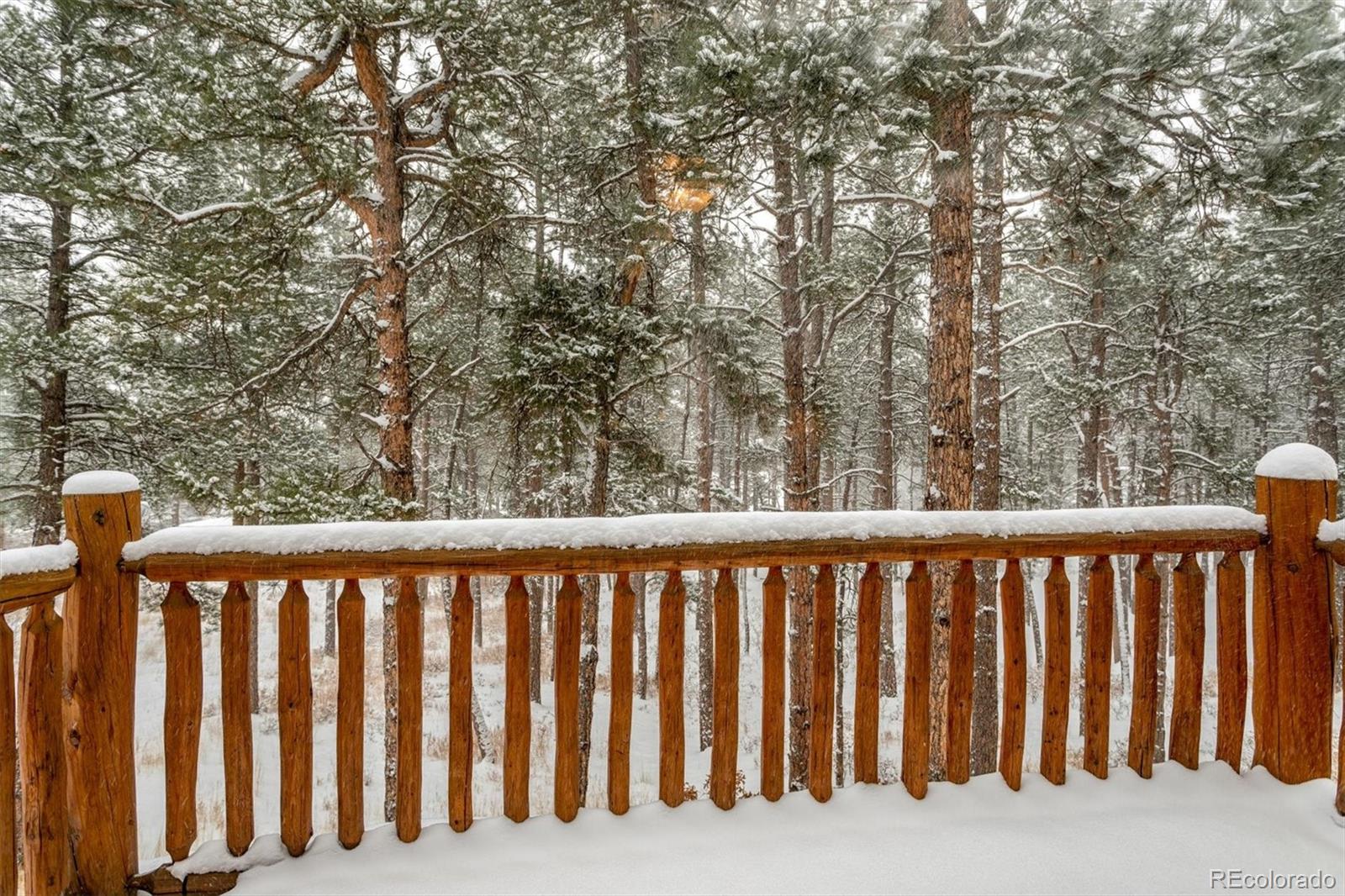 8244 Inca Road Larkspur, CO 80118 - Photo 24 of 40