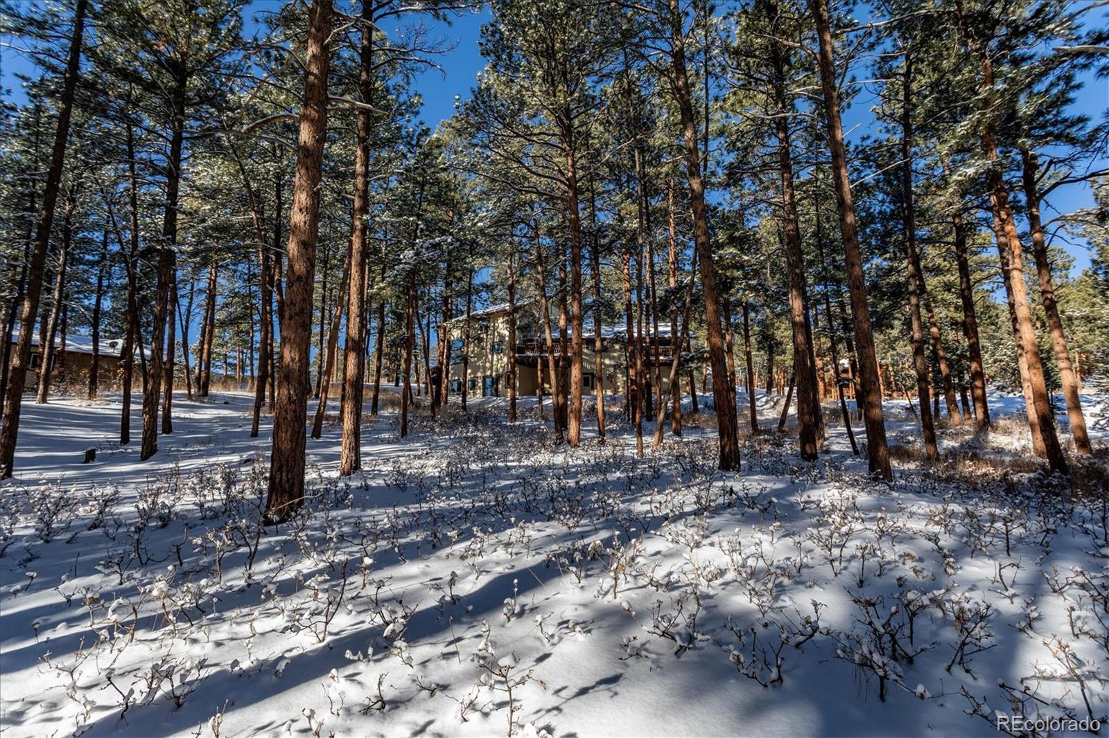 8244 Inca Road Larkspur, CO 80118 - Photo 36 of 40