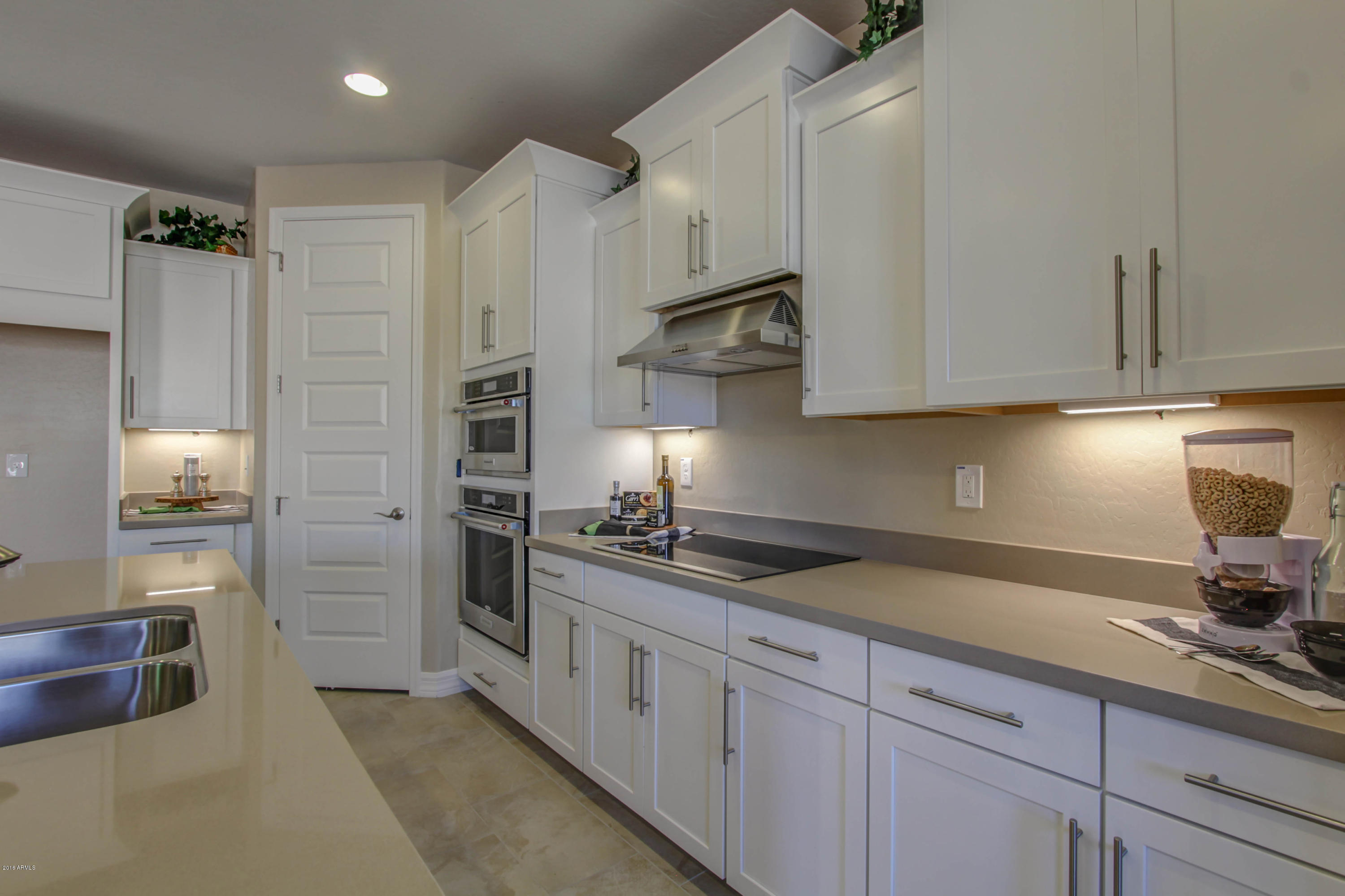 20120 Rosa Road Queen Creek, AZ 85142 - Photo 9 of 20 010_Kitchen Details