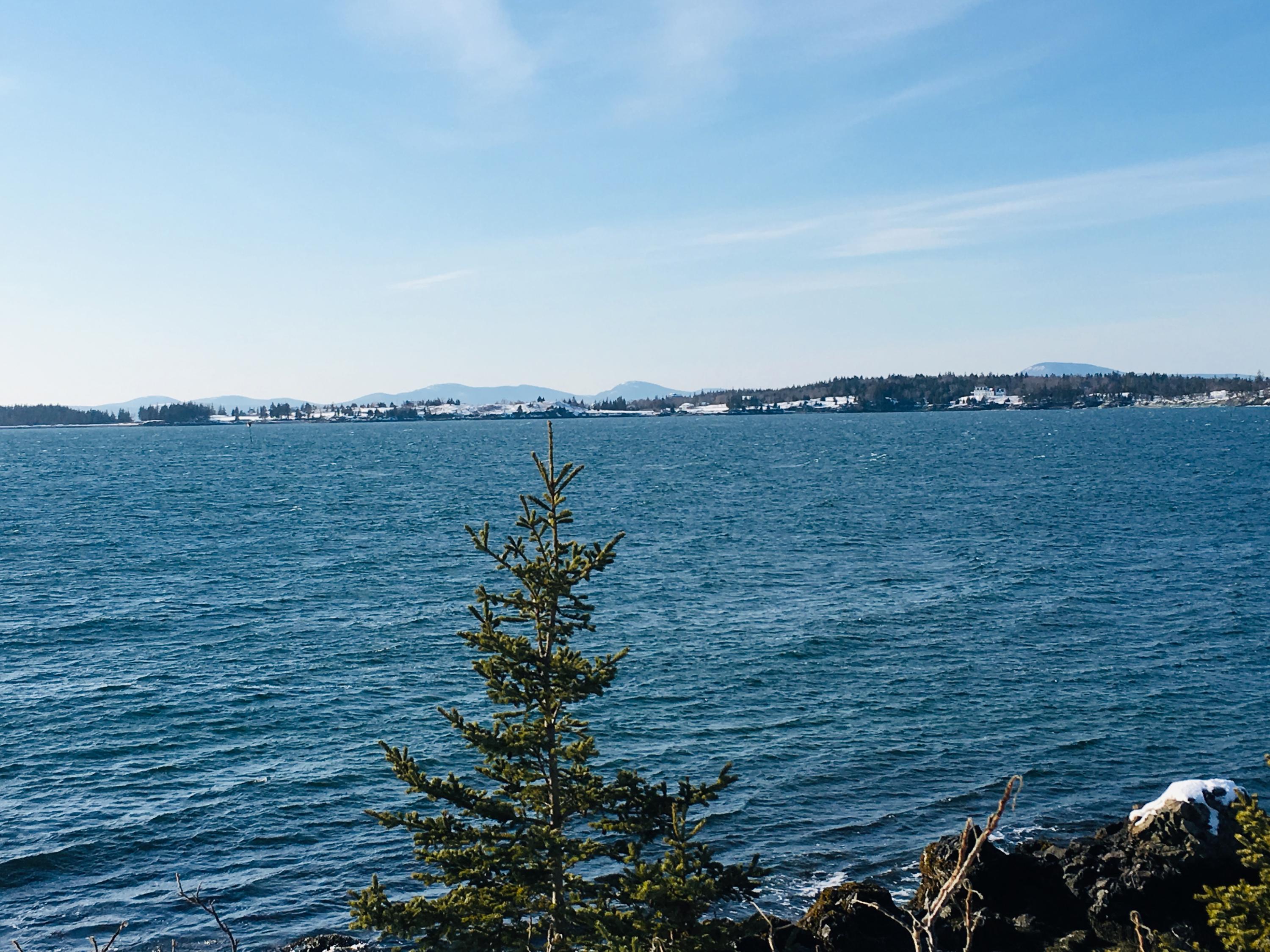 43 Browns Head Light Road Vinalhaven, ME 04863 - Photo 4 of 23 fullsizeoutput_48be