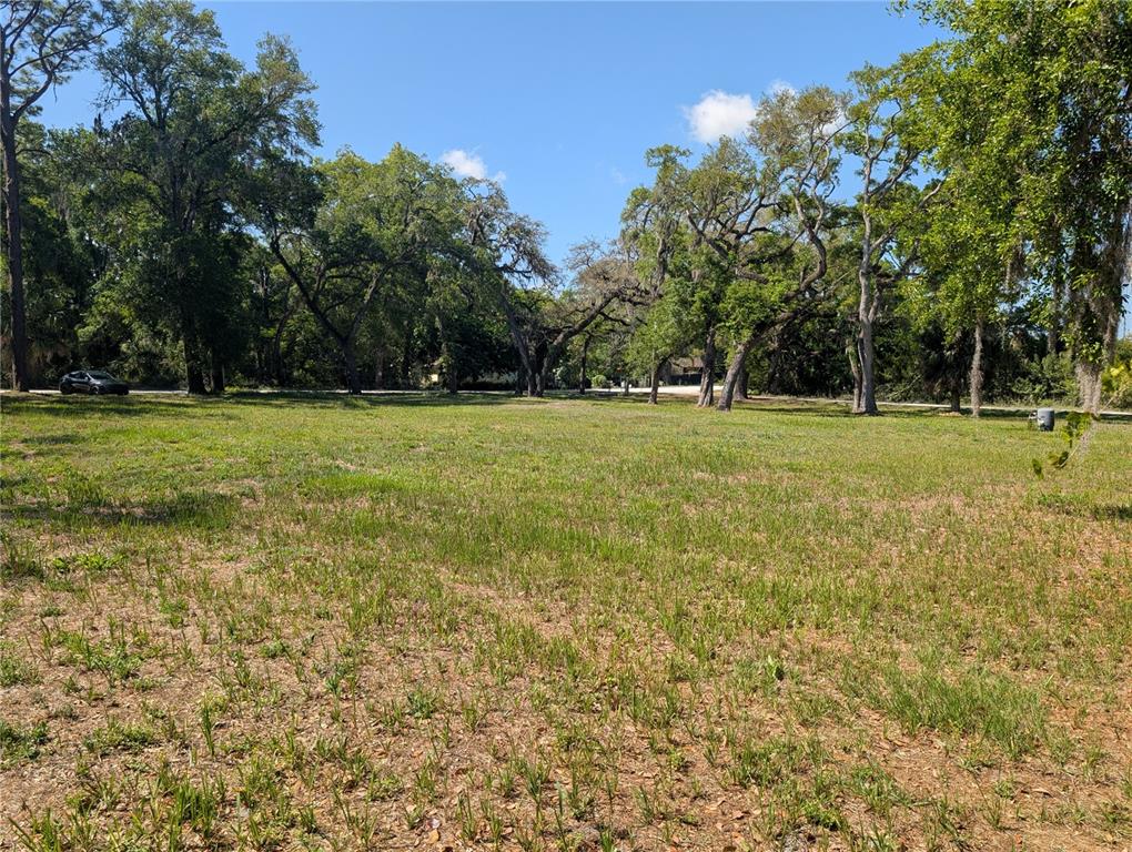 8519 Adonis Road New Port Richey, FL 34654 - Photo 3 of 8