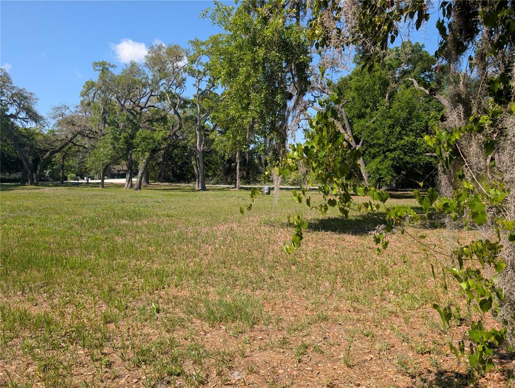 8519 Adonis Road New Port Richey, FL 34654 - Photo 4 of 8