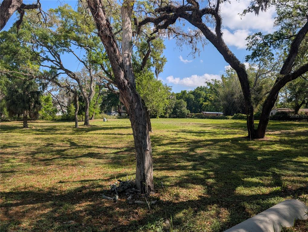 8519 Adonis Road New Port Richey, FL 34654 - Photo 5 of 8