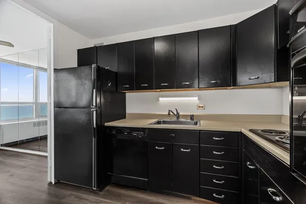 $1,550 | 4800 South Chicago Beach Drive, Unit 2613N, Chicago, IL 60615
