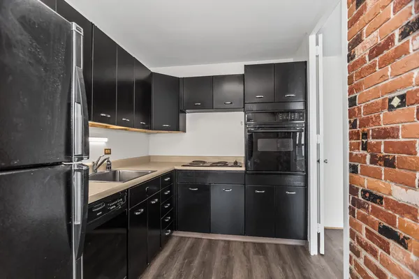 $1,550 | 4800 South Chicago Beach Drive, Unit 2613N, Chicago, IL 60615