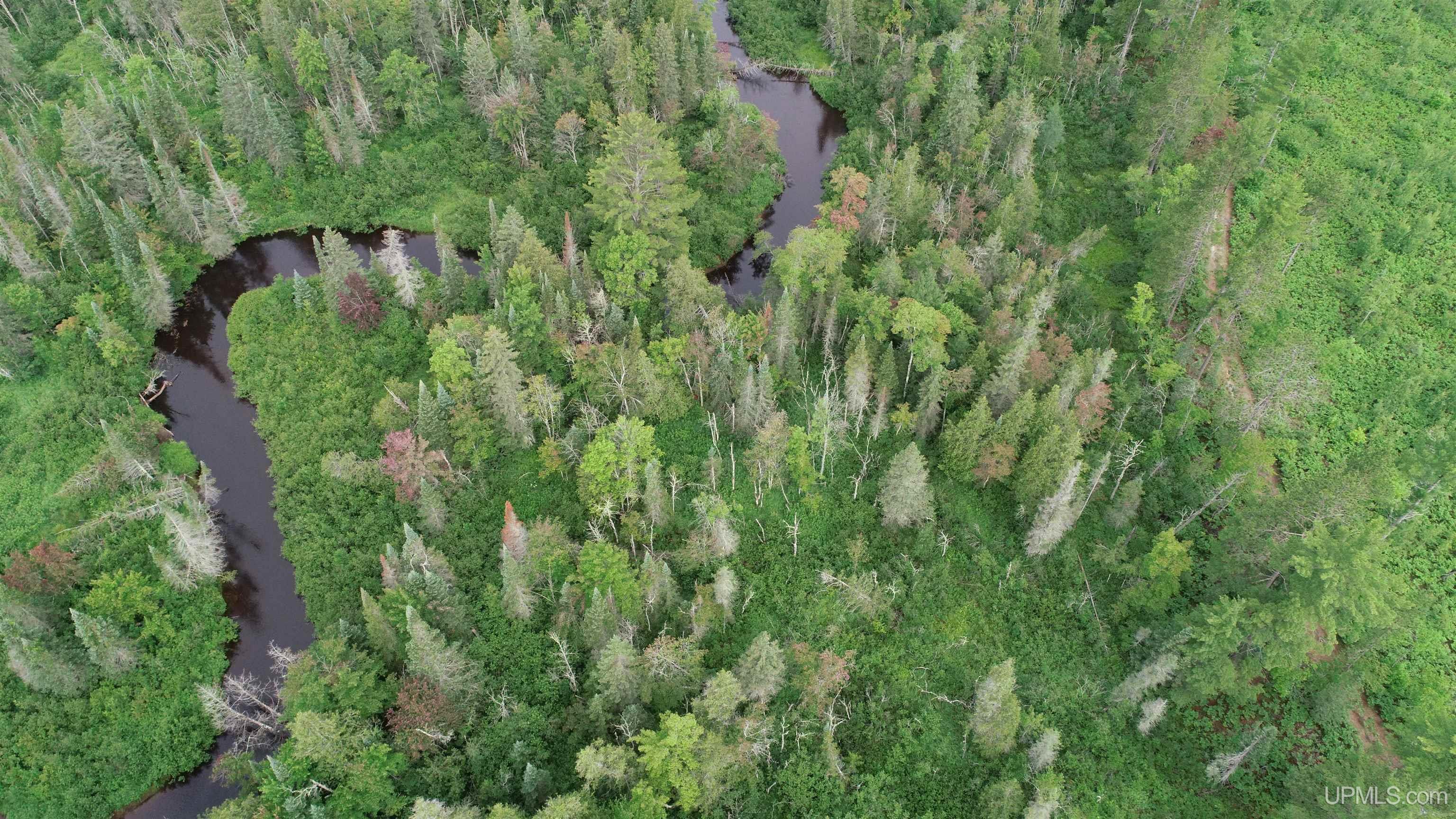 Tbd Tbd Hay Meadow Road Manistique, MI 49854 - Photo 19 of 51