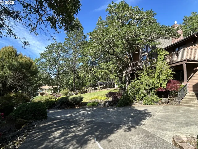 a view of a park with plants and large trees
