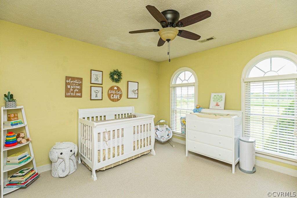 162 Frenchtown Road Aylett, VA 23009 - Photo 29 of 32 Gallery Image 29