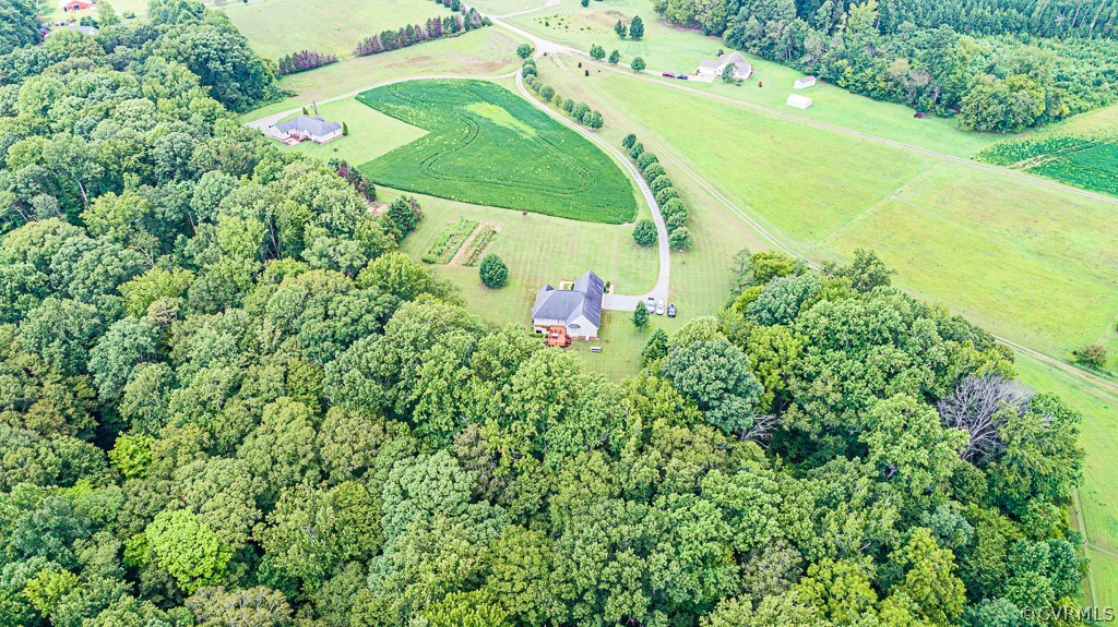 162 Frenchtown Road Aylett, VA 23009 - Photo 8 of 32 Gallery Image 8