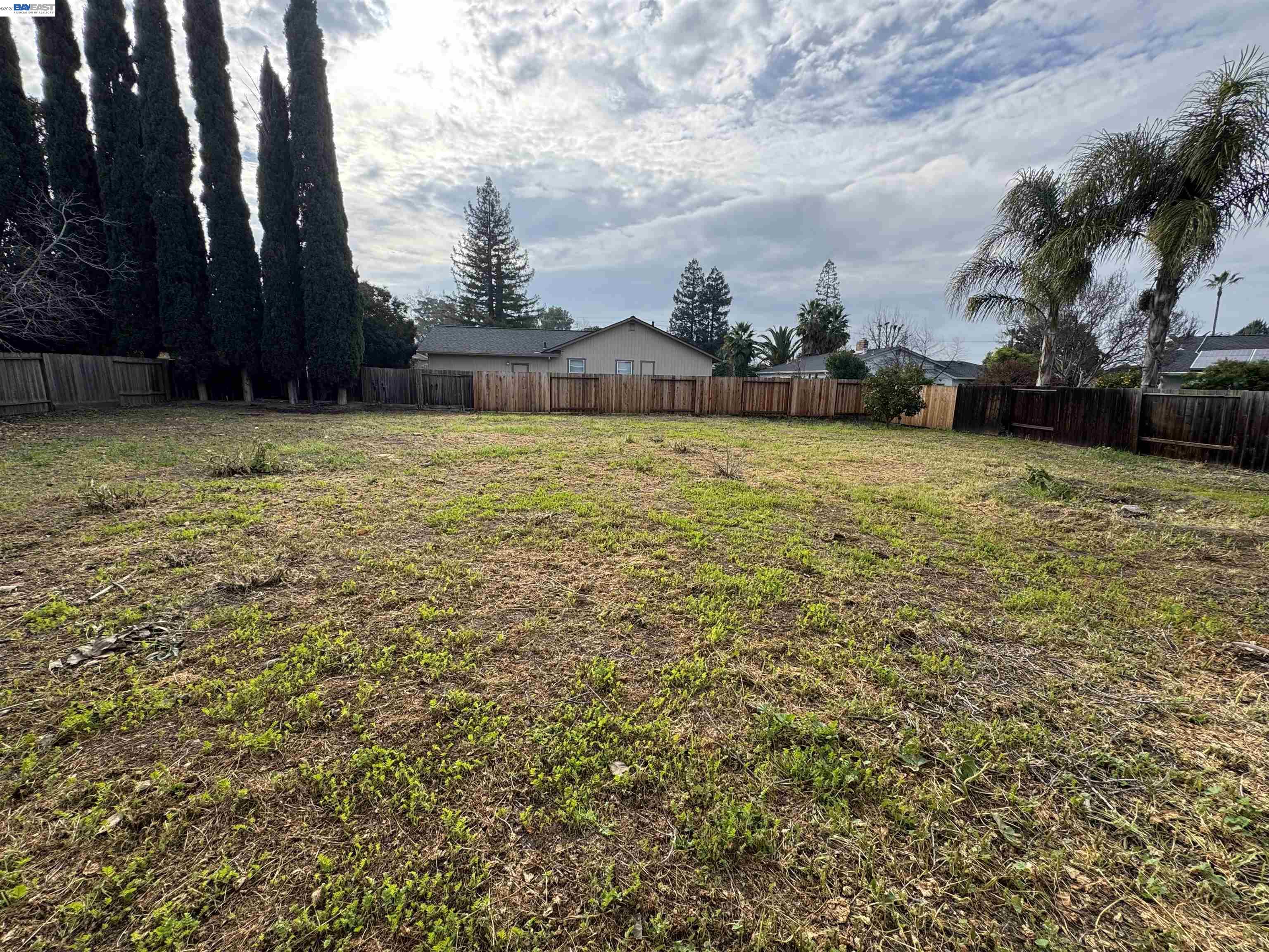 a view of a yard