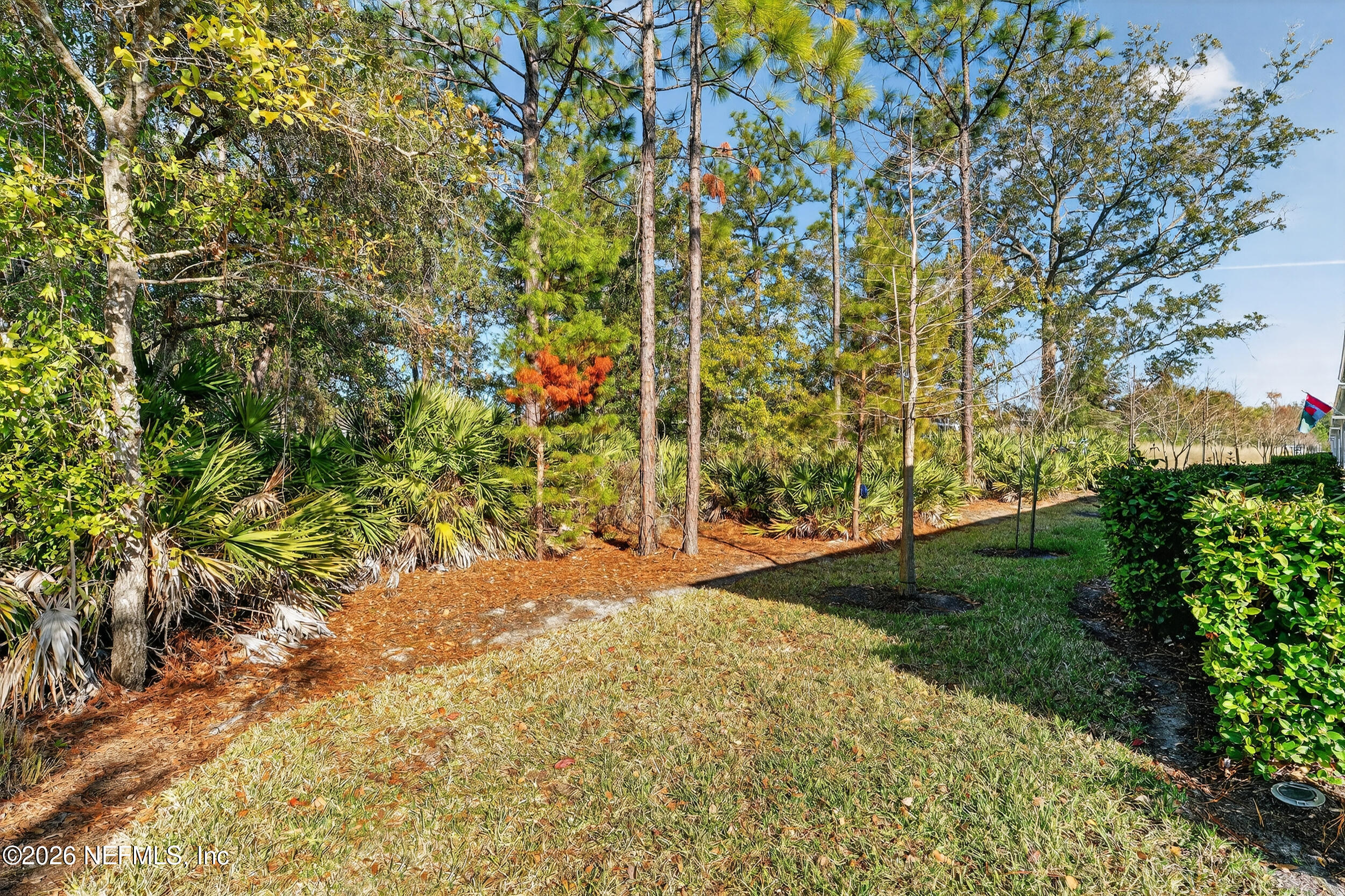 59 Fly Line Drive St. Johns, FL 32259 - Photo 31 of 60 a view of a yard with plants and trees