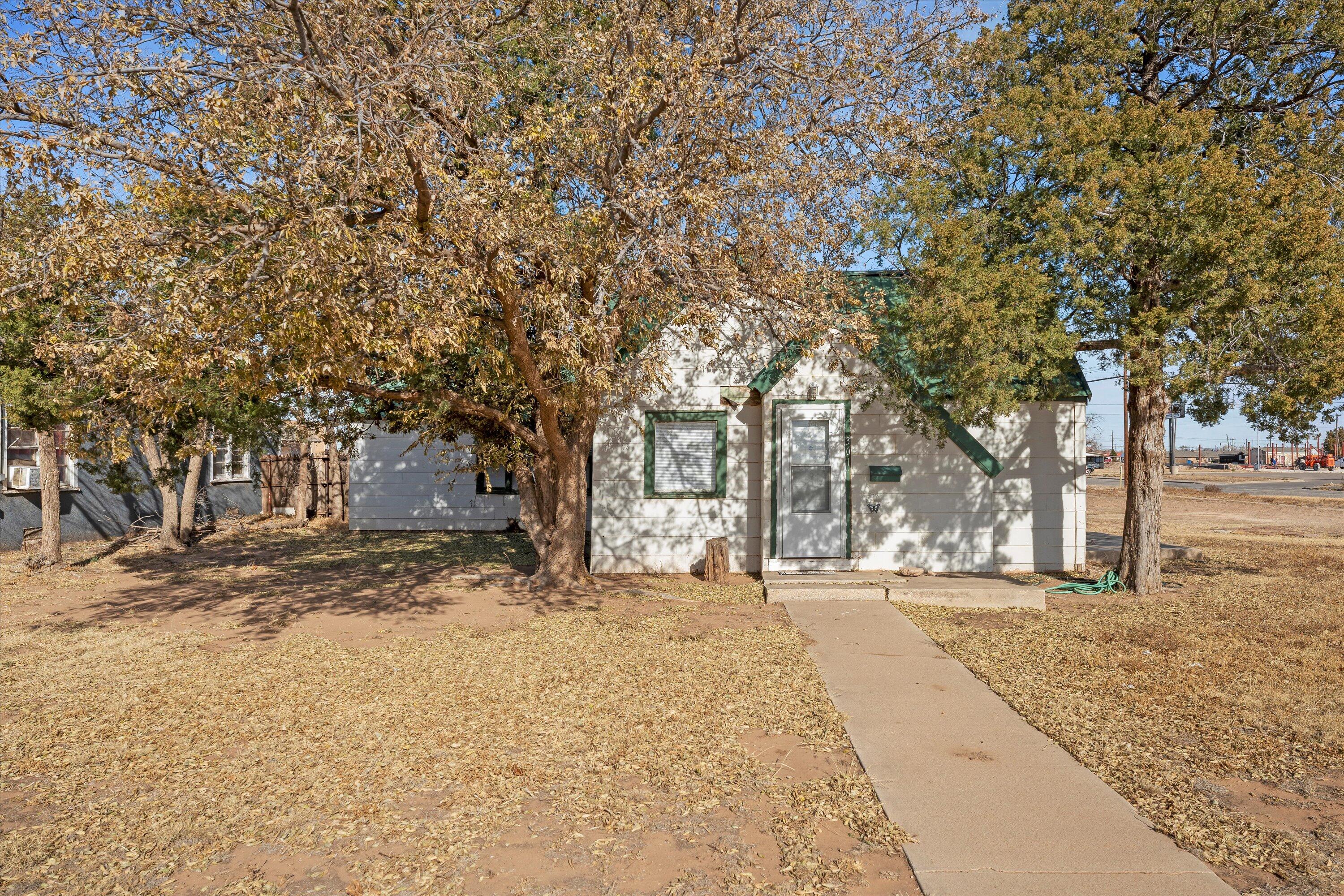 a street view covered with snow