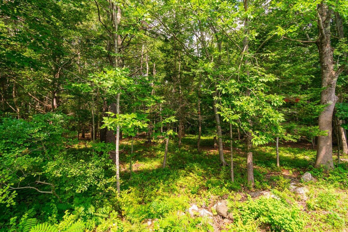 Lot 3 Lewis Hill Road Newcastle, ME 04553 - Photo 3 of 32 03-Lewis Farm-1