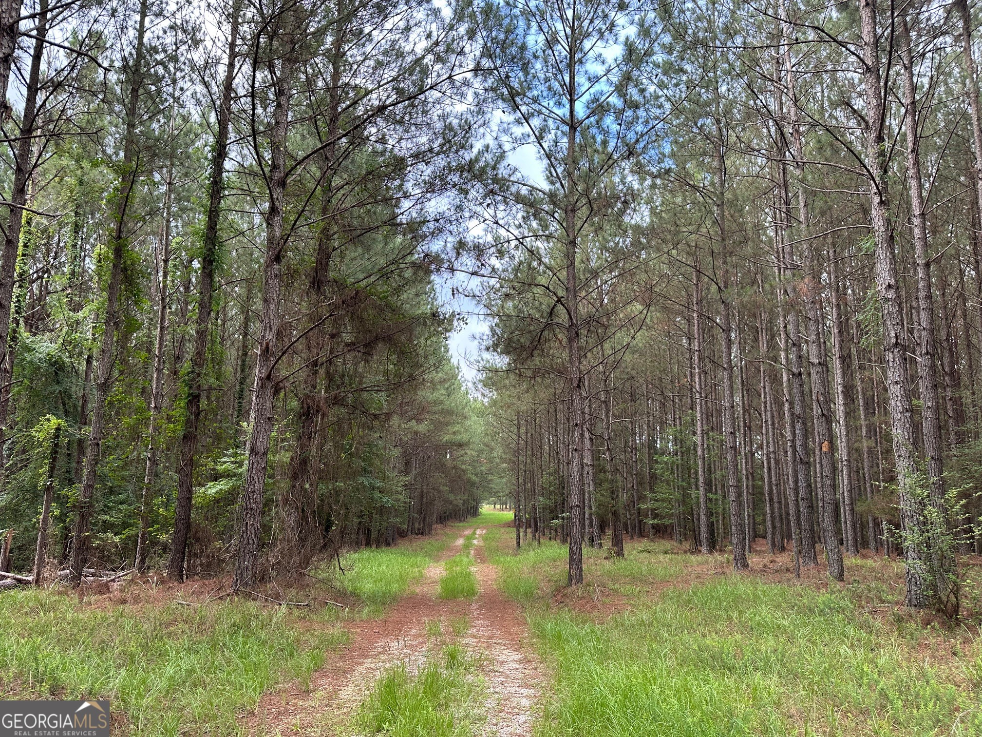 3330 Callaway Road Greensboro, GA 30642 - Photo 63 of 83