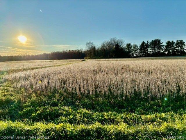14235 Wanty Road Milan, MI 48160 - Photo 2 of 19