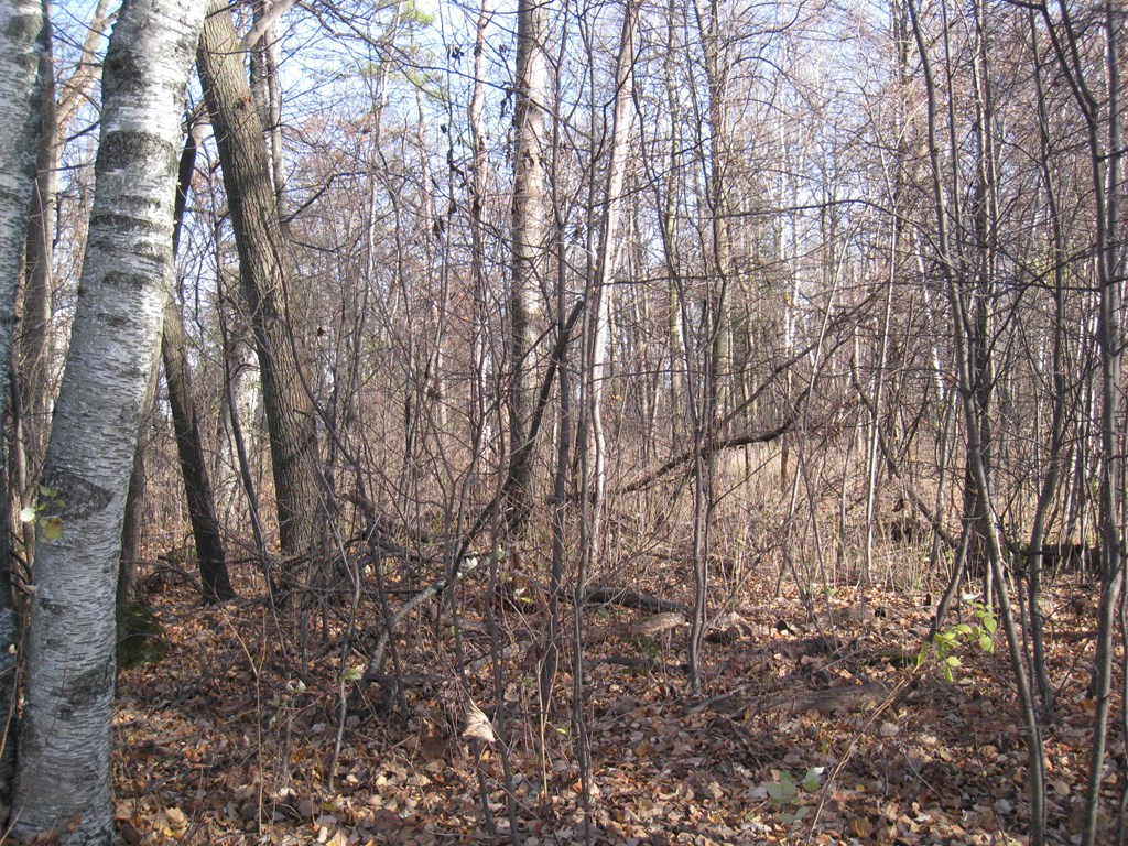 Lot 28 Snake Island Road Sturgeon Bay, WI 54235 - Photo 2 of 3