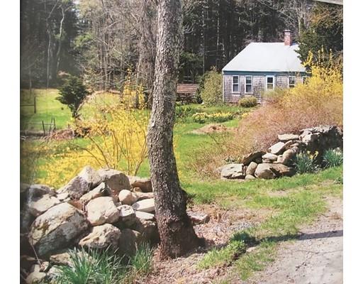 22 Winter Street Middleboro, MA 02346 - Photo 1 of 14 a view of a garden with plants