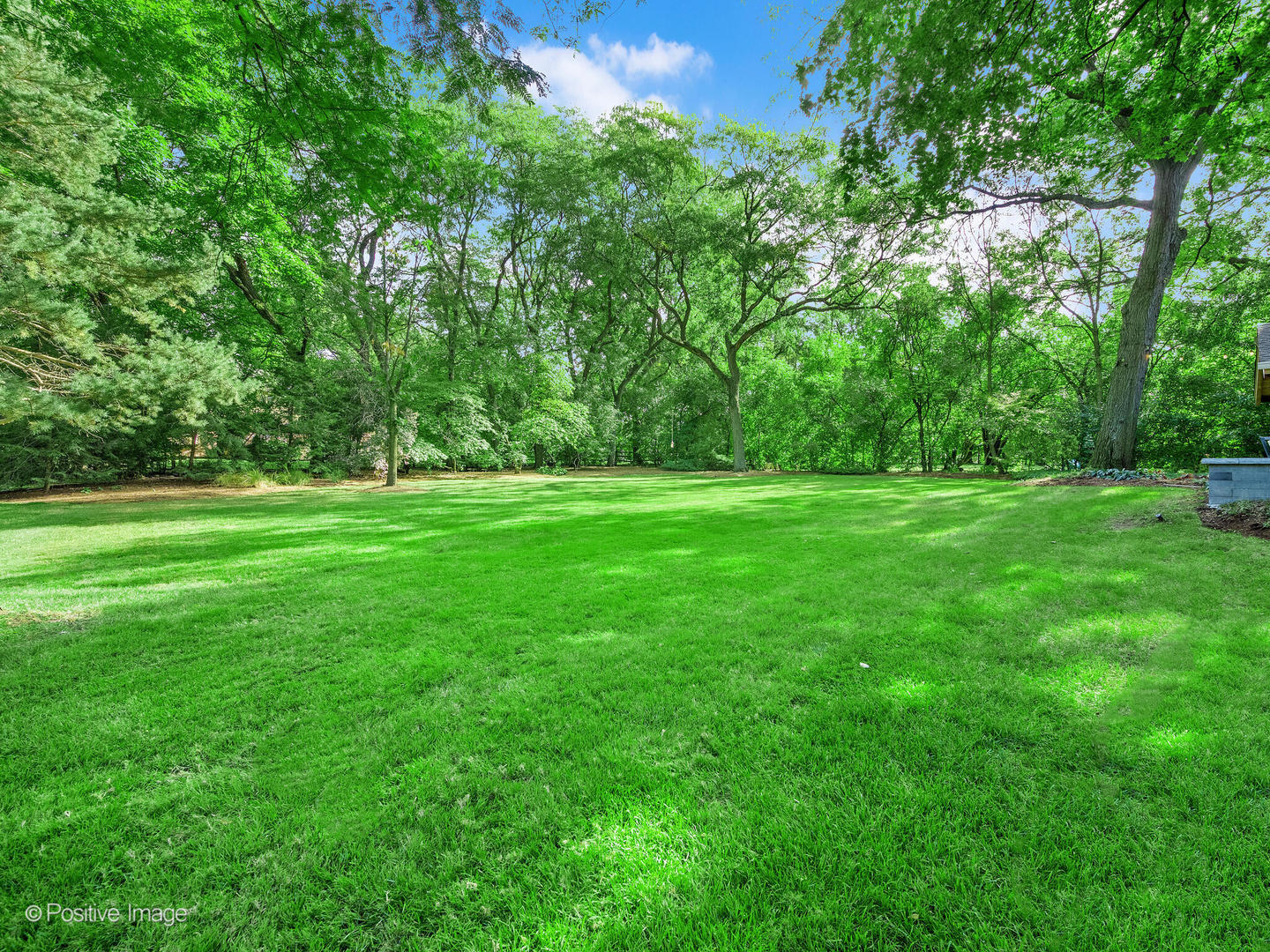 6555 Shabbona Road Indian Head Park, IL 60525 - Photo 59 of 63 a view of a grassy field with trees