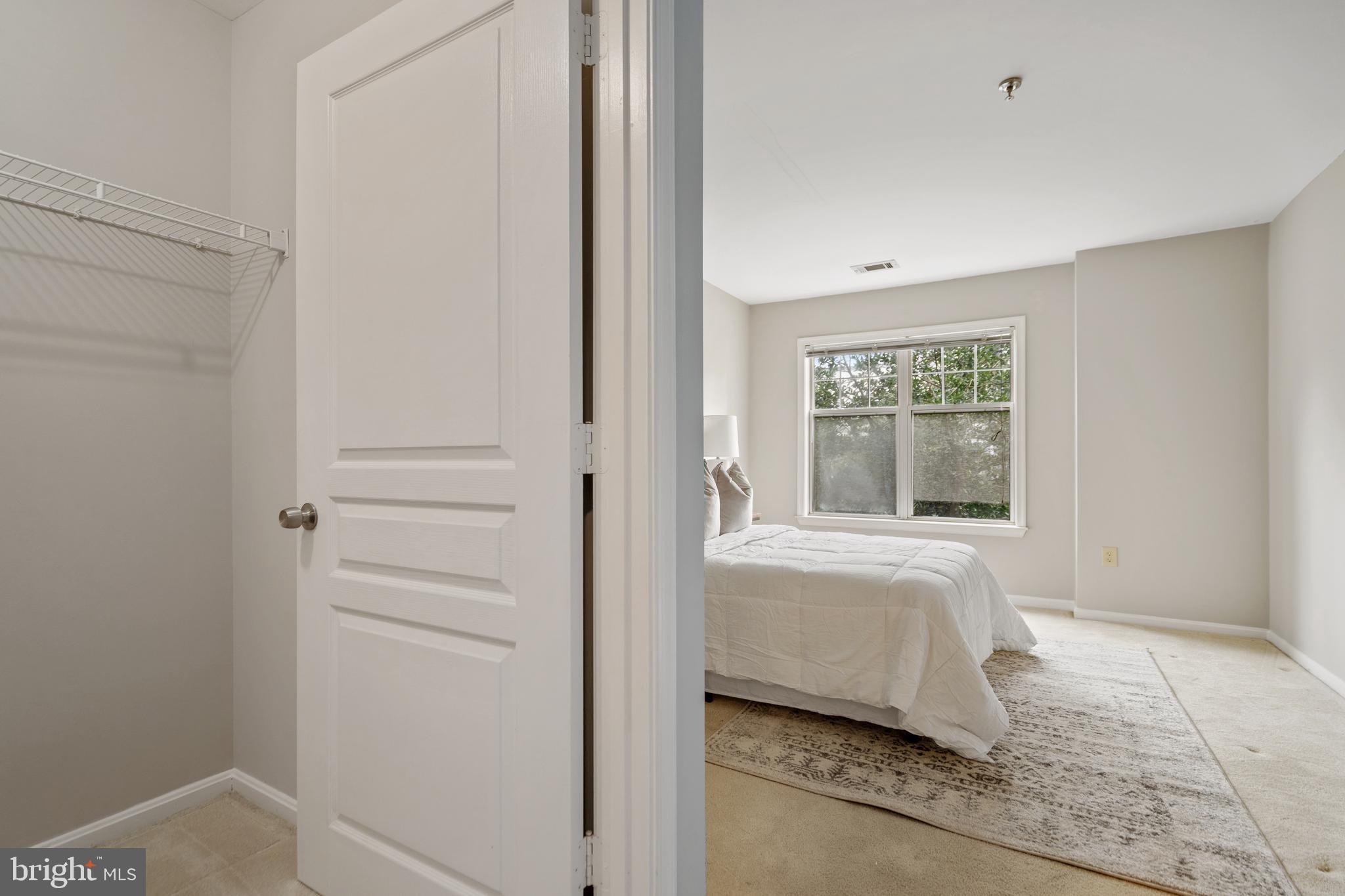 5575 Seminary Road, Unit 316 Falls Church, VA 22041 - Photo 17 of 23 Large walk-in closet in primary bedroom.