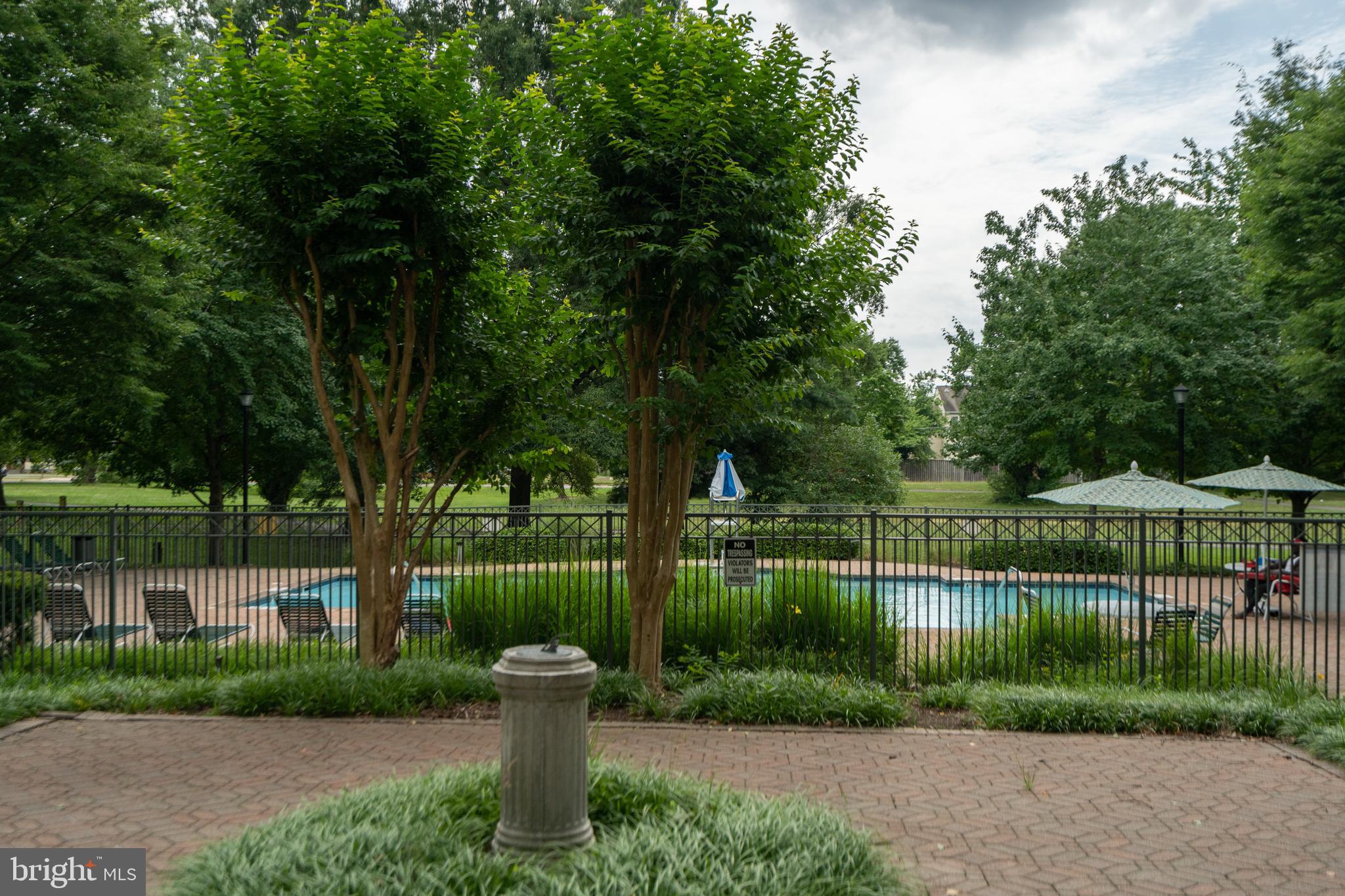 5575 Seminary Road, Unit 316 Falls Church, VA 22041 - Photo 23 of 23 Private outdoor pool perfect for relaxing.