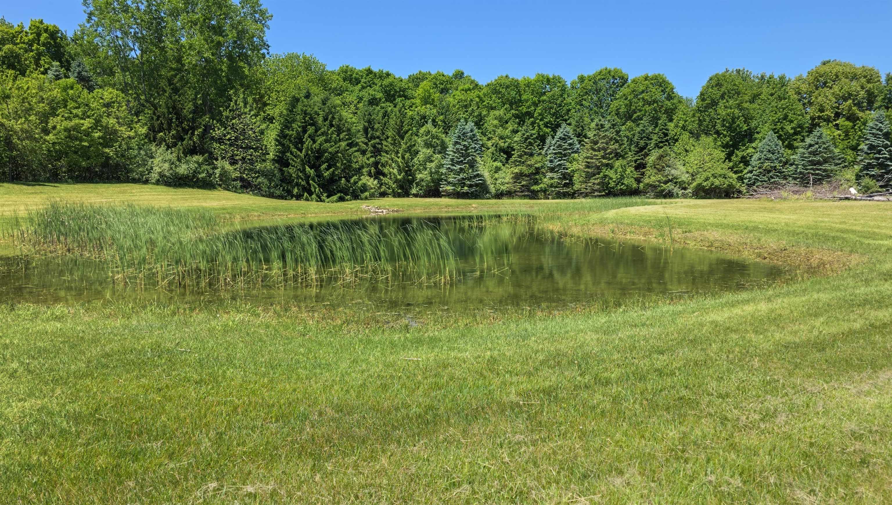6089 North Seymour Road Flushing, MI 48433 - Photo 53 of 56