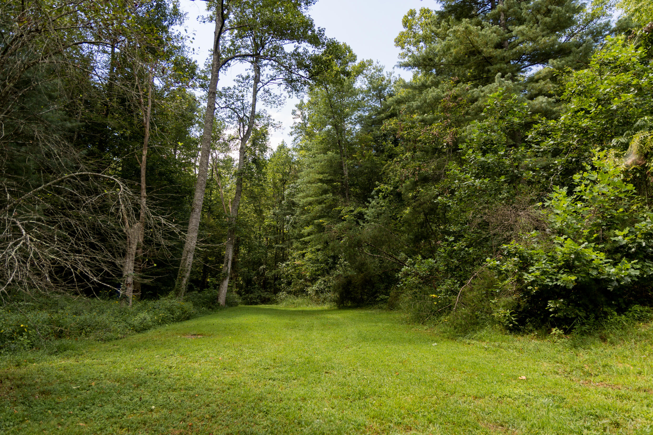 1295 Old State Road Wellington, KY 40387 - Photo 2 of 16 FO7A7499
