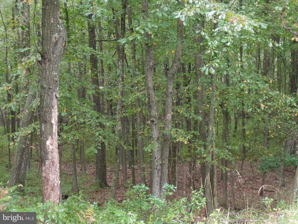 0 Yatesville Road Mahanoy City, PA 17948 - Photo 11 of 11