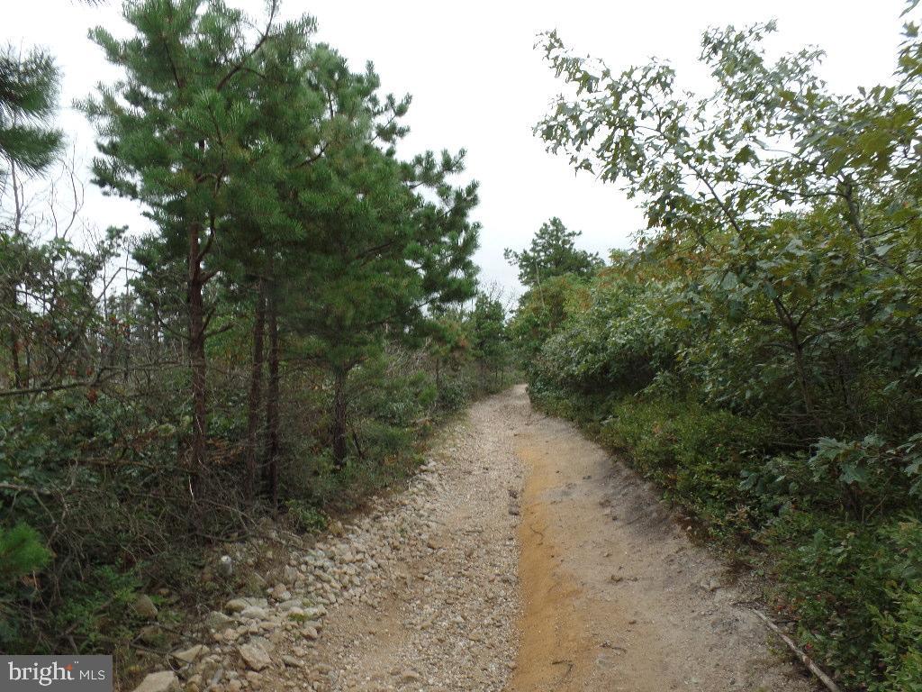 0 Yatesville Road Mahanoy City, PA 17948 - Photo 6 of 11