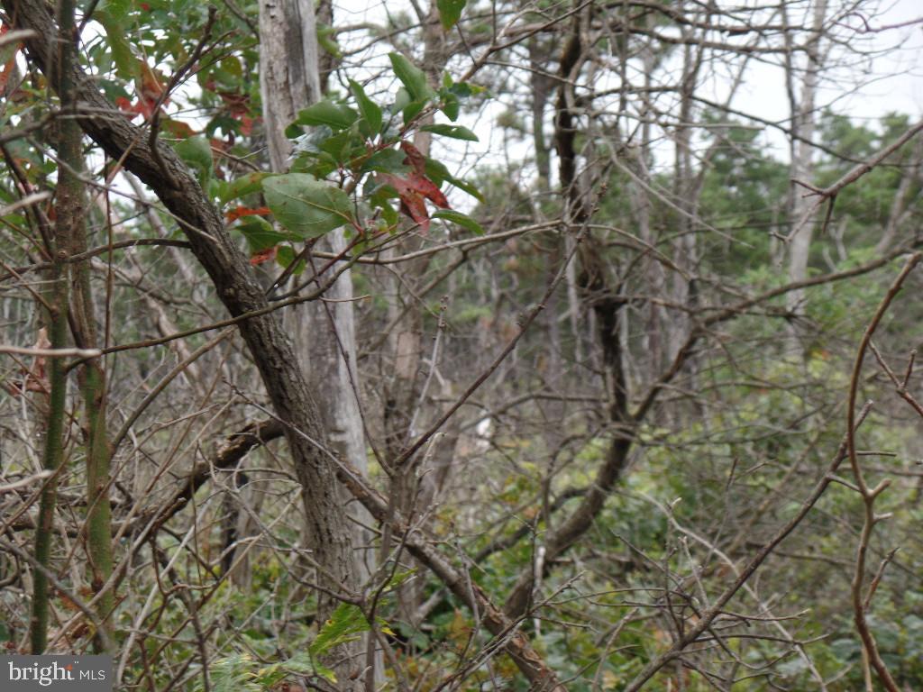 0 Yatesville Road Mahanoy City, PA 17948 - Photo 7 of 11