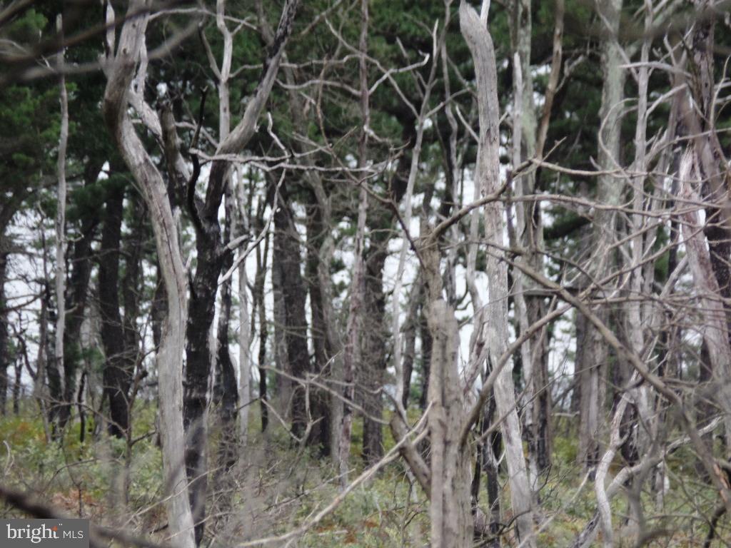 0 Yatesville Road Mahanoy City, PA 17948 - Photo 8 of 11