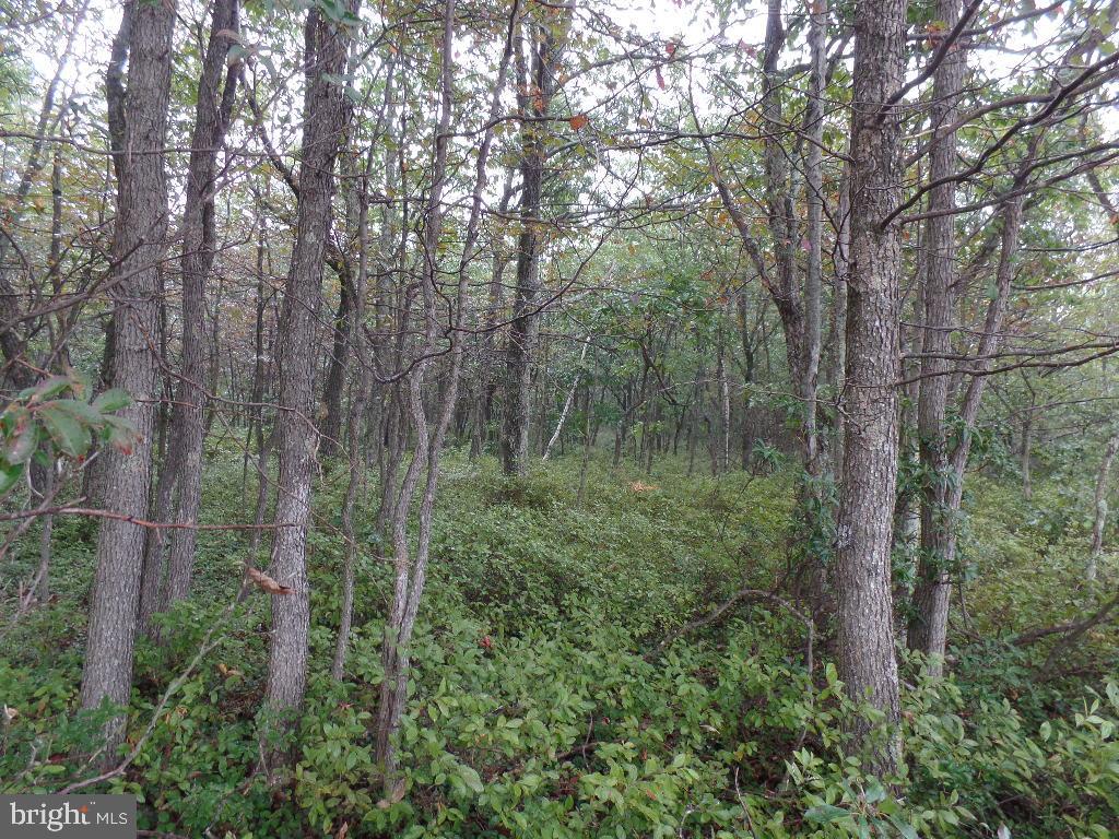 0 Yatesville Road Mahanoy City, PA 17948 - Photo 10 of 11