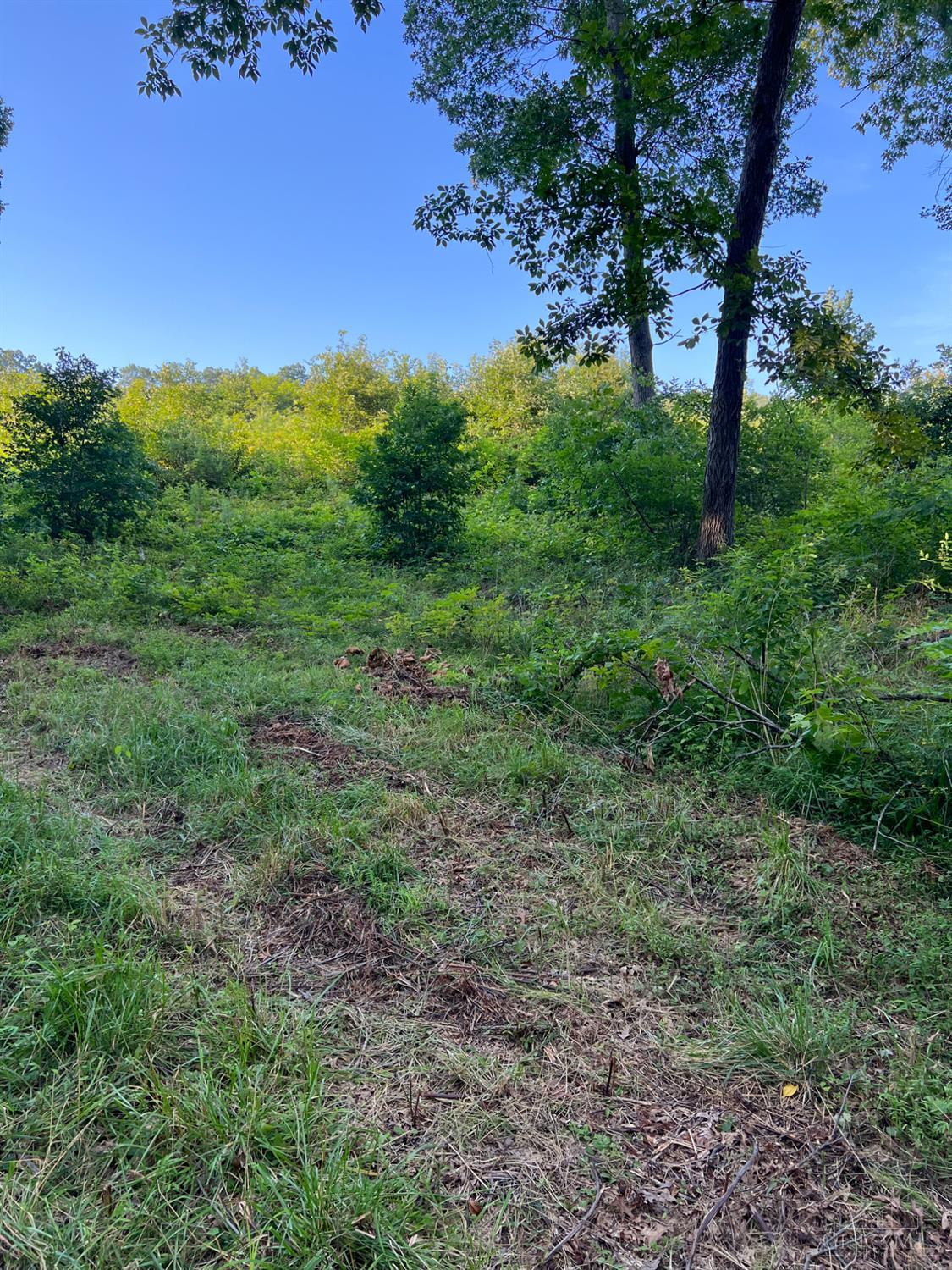 0 Tabernacle Road Chillicothe, OH 45601 - Photo 21 of 64