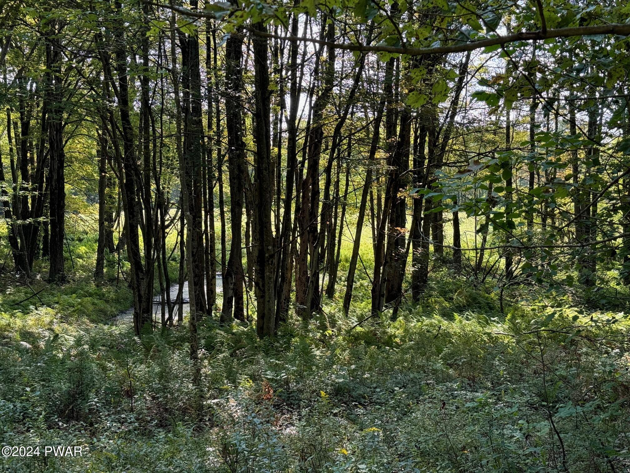 496 Egypt Road Honesdale, PA 18431 - Photo 12 of 13
