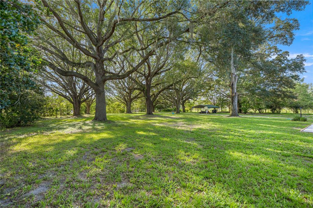 16250 Southwest 20th Avenue Road Ocala, FL 34473 - Photo 61 of 75
