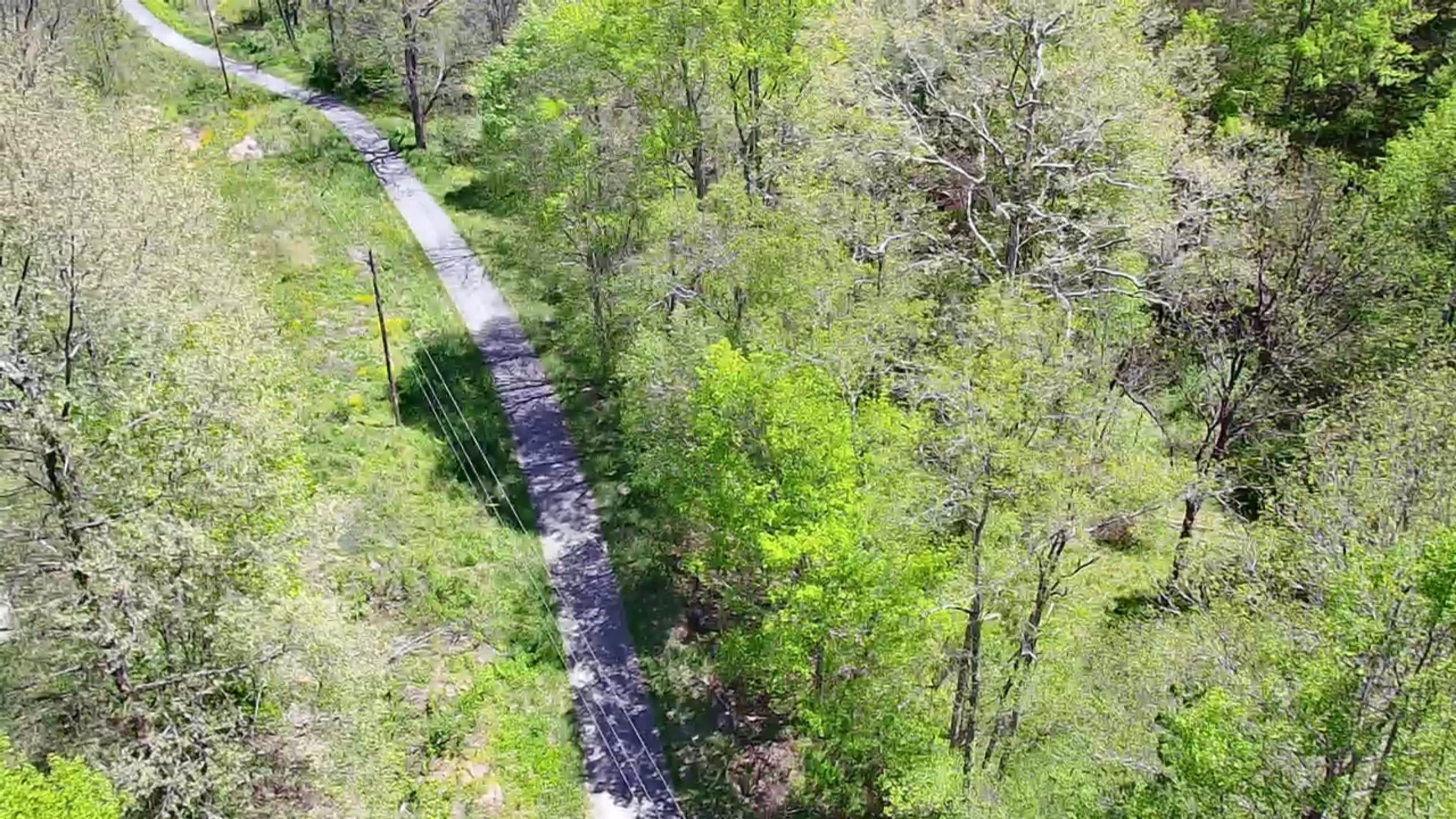 Tbd Bob Byrd Road Beeson, WV 24714 - Photo 1 of 18 Gallery Image 1