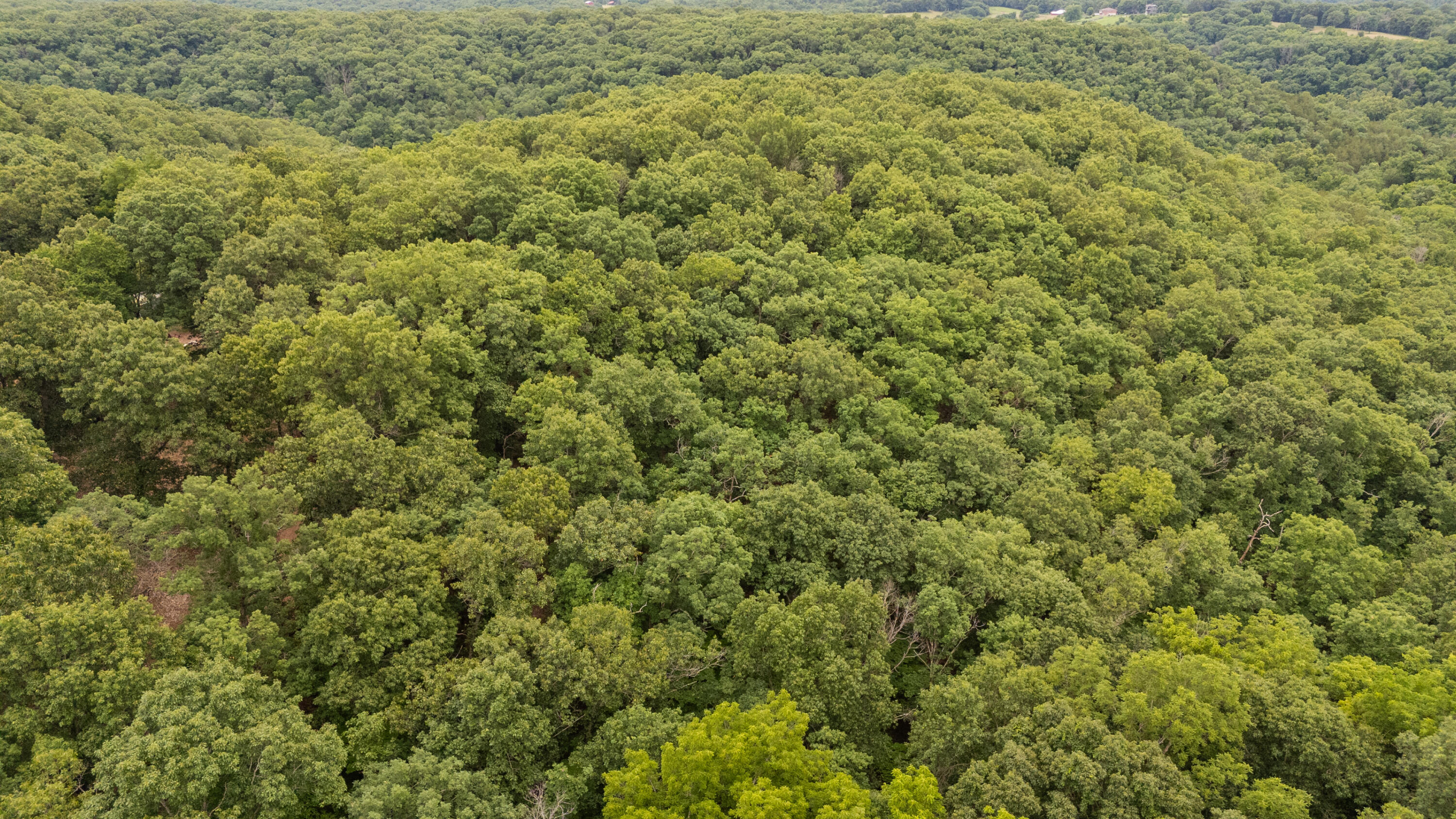 0 Misty Springs Road Galena, MO 65656 - Photo 23 of 39 Galena 5 drone-17