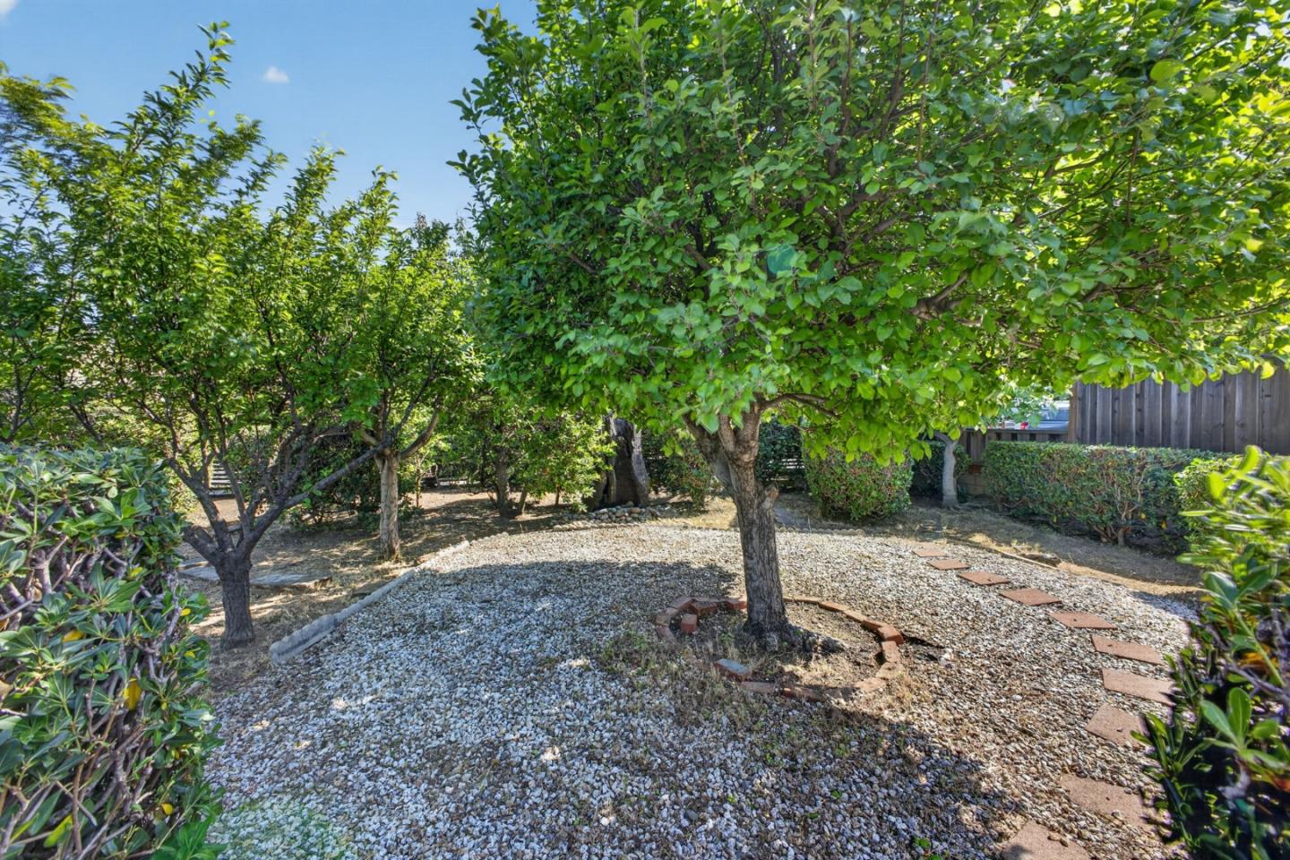 229 West Rincon Avenue Campbell, CA 95008 - Photo 12 of 57