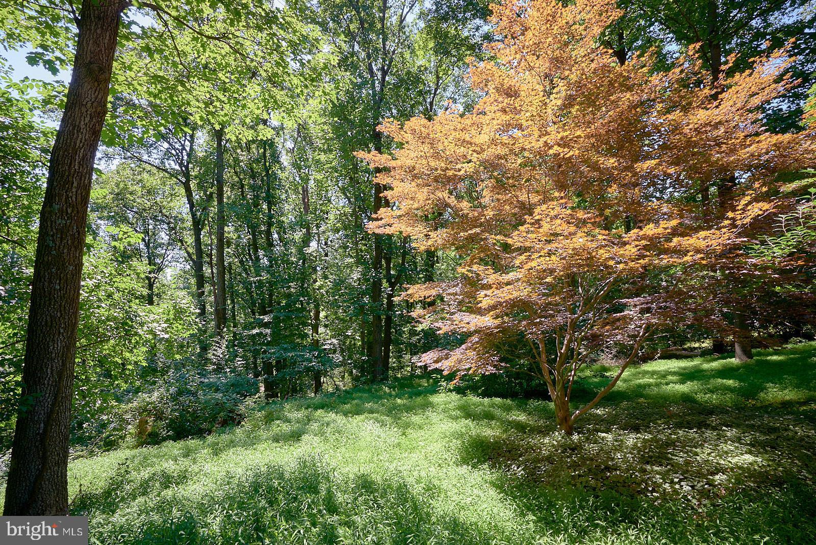 147 Golf Ridge Road Reinholds, PA 17569 - Photo 7 of 41 Gallery Image 7