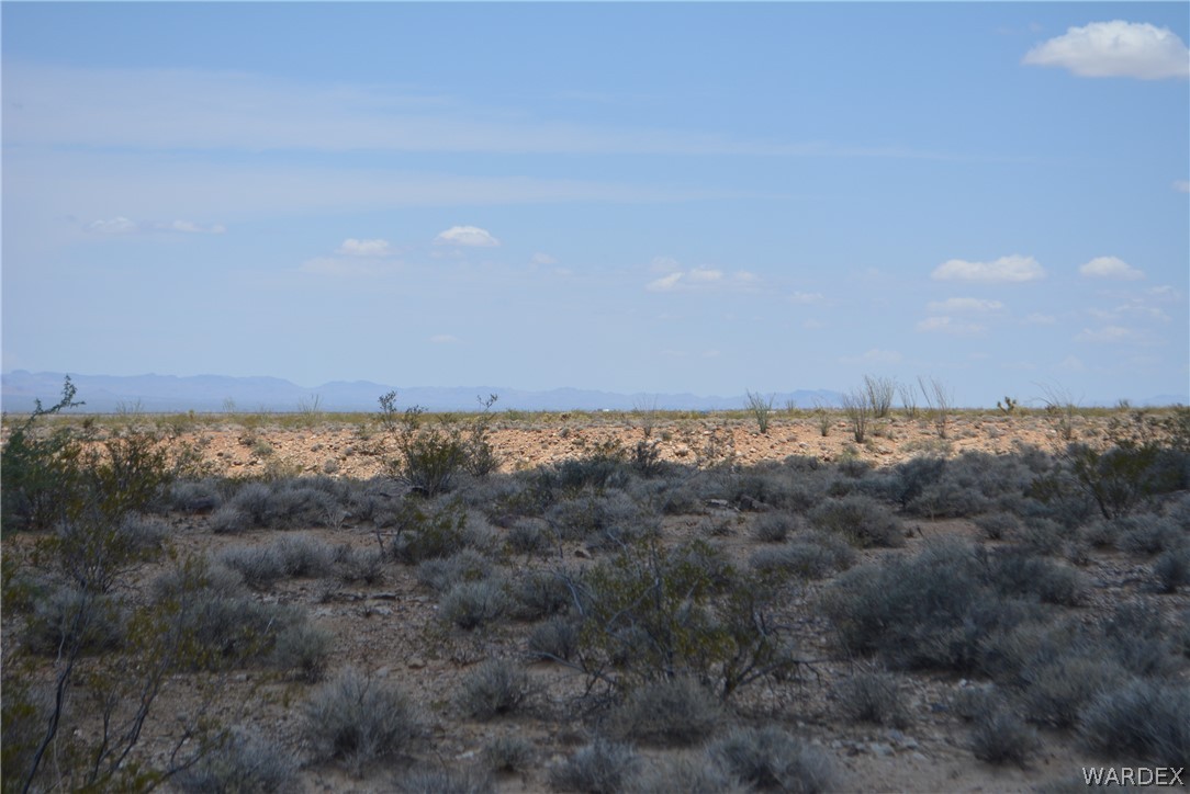 208-24-134 Cameron Road Yucca, AZ 86438 - Photo 20 of 86