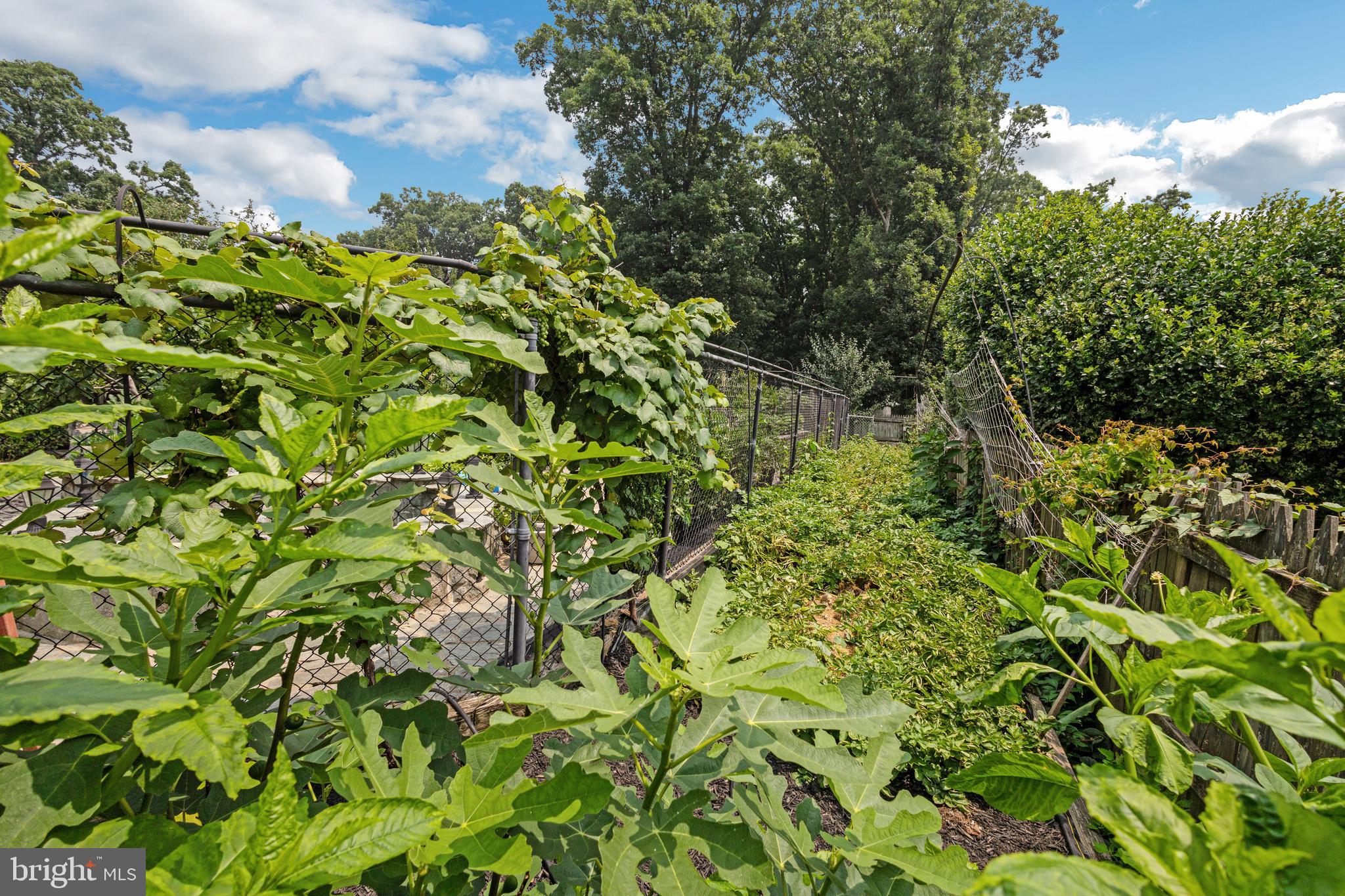 4906 St Barnabas Road Temple Hills, MD 20748 - Photo 47 of 52 Gallery Image 47