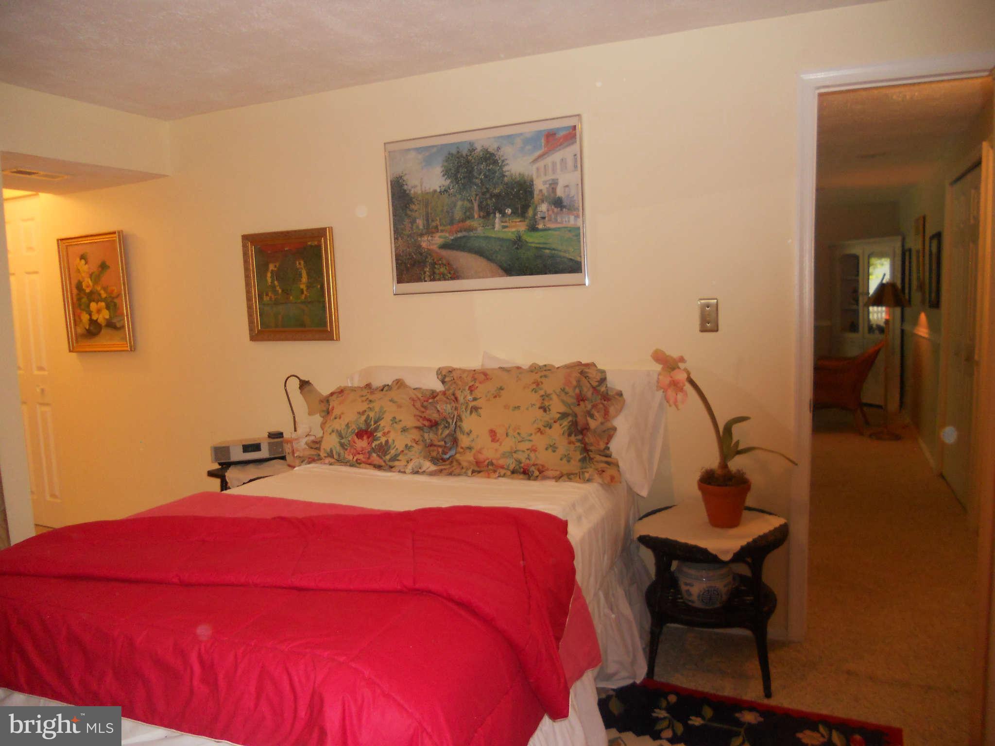 8237 Rippling Branch Road Laurel, MD 20723 - Photo 25 of 30 Lower Level Bedroom #5 / Den