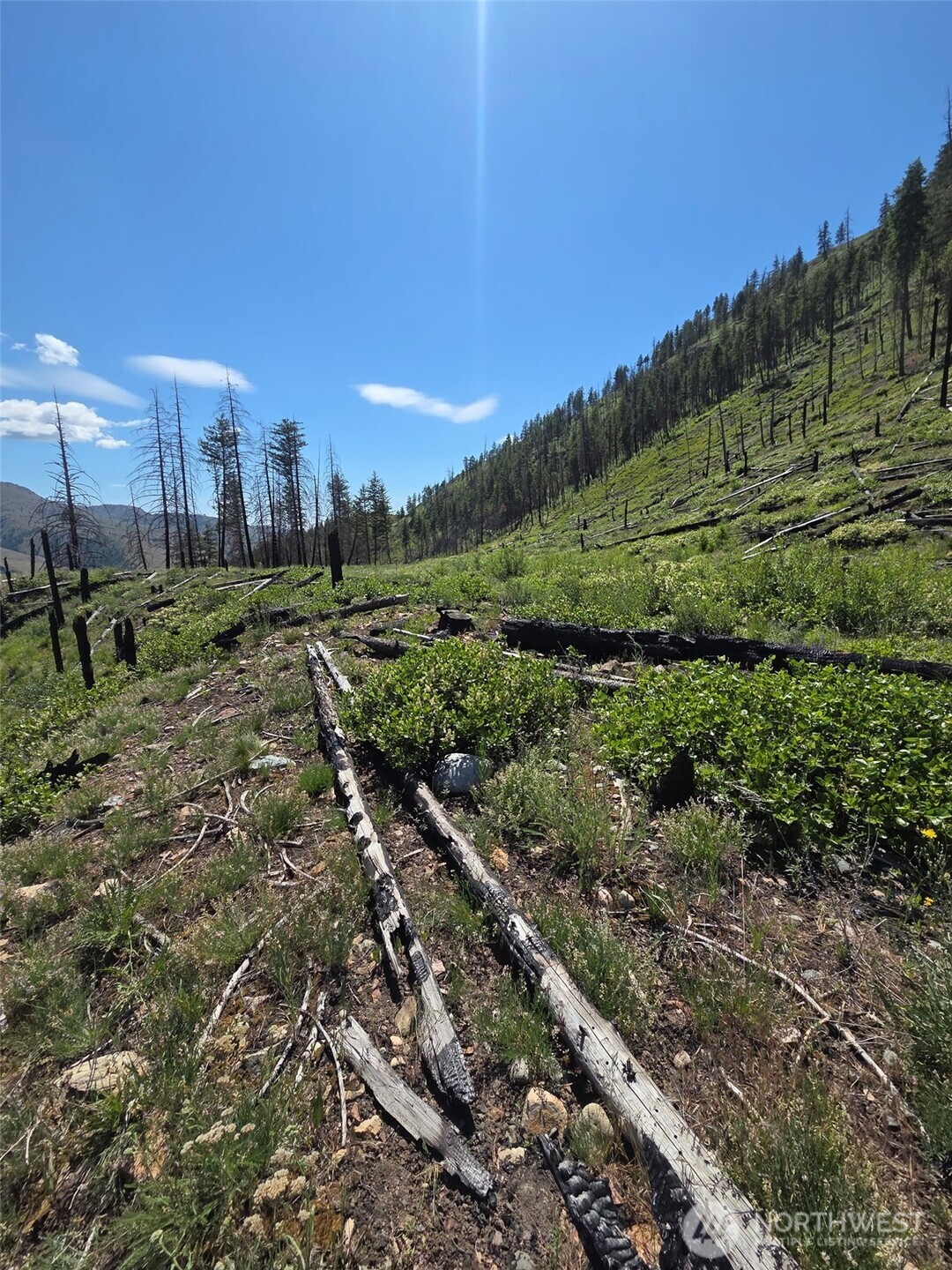 -xxx Gold Creek Loop Road Carlton, WA 98814 - Photo 14 of 14