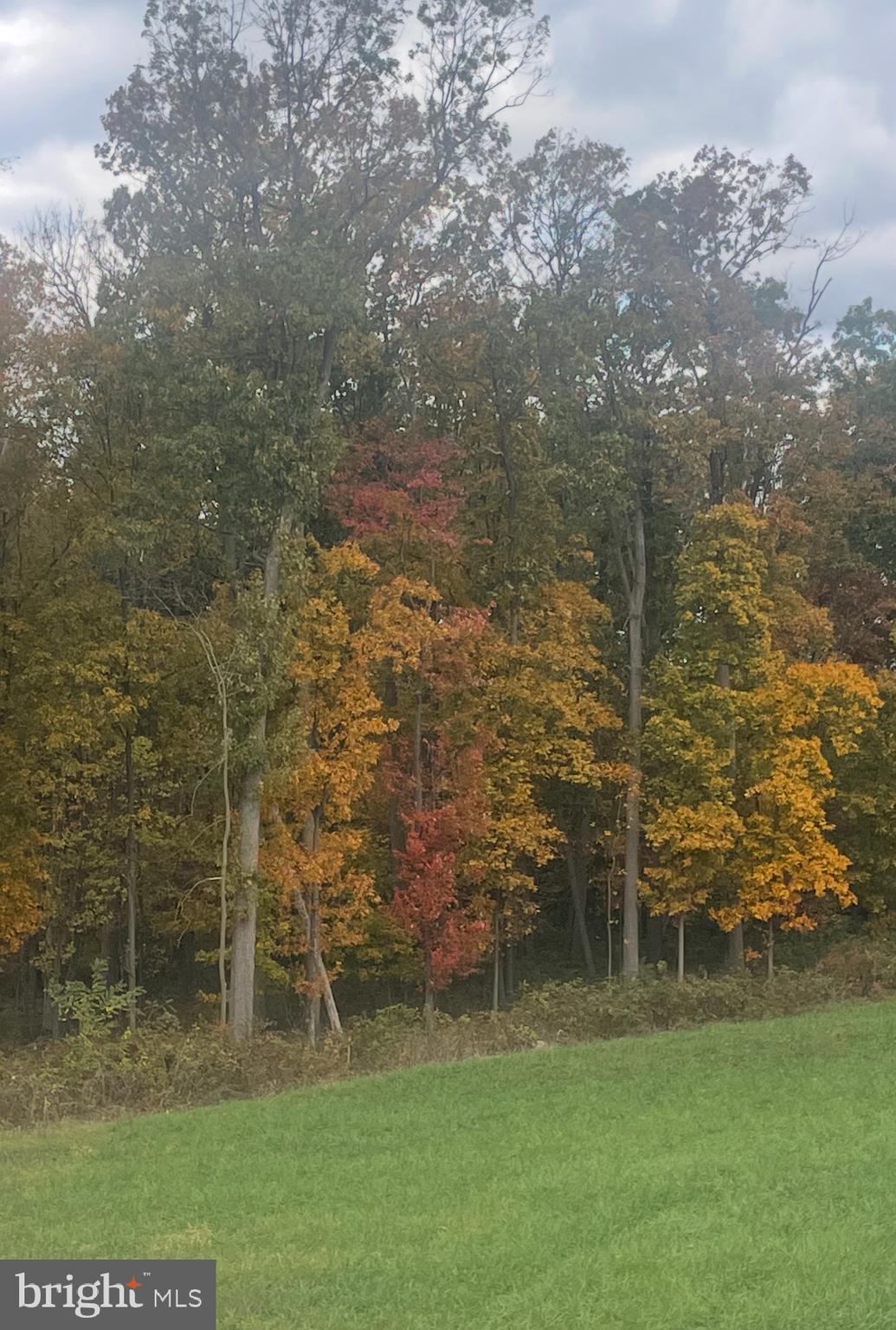 130 Pheasant Ridge Road Hanover, PA 17331 - Photo 56 of 59 Incredible views