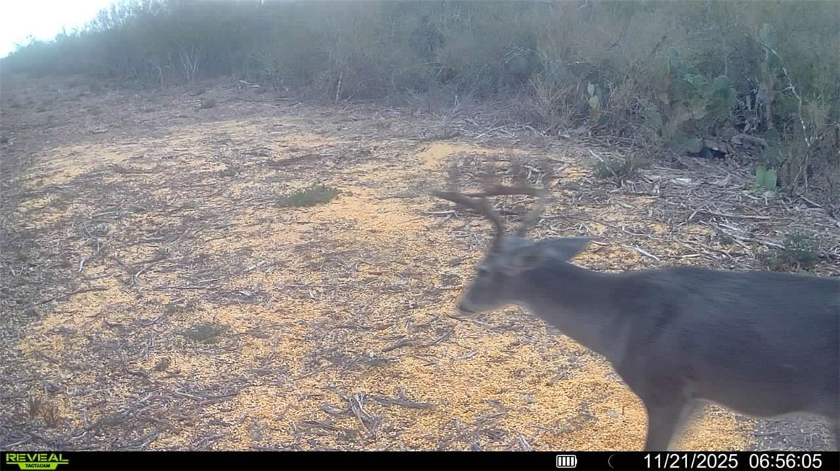 a view of lot of water